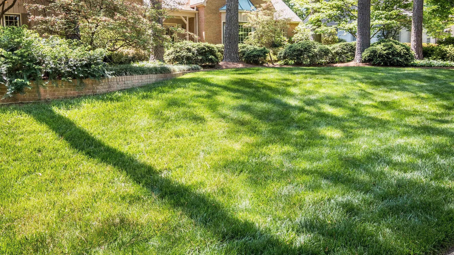 Applying Too Much Fertilizer to Your Lawn Can Do More Harm Than Good!