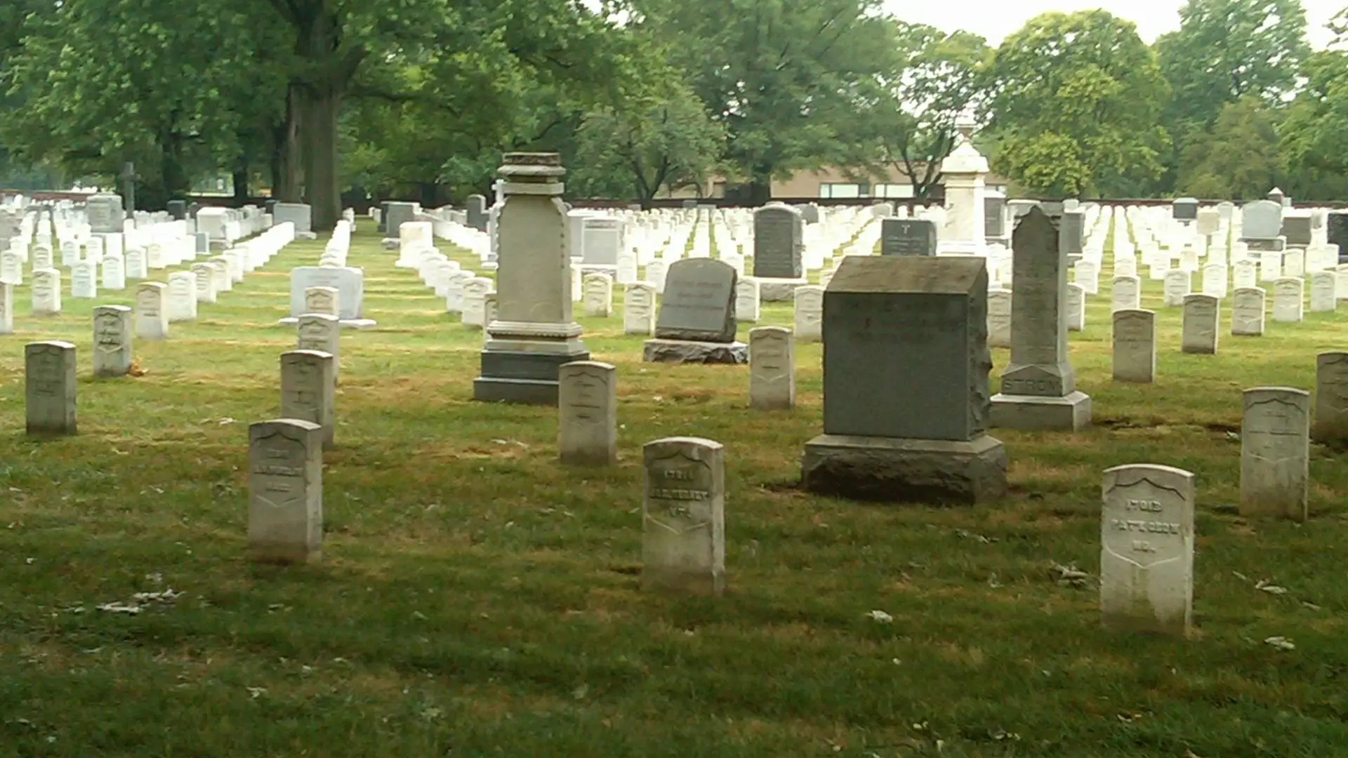 Herbi-Systems Helps Organize Volunteer Effort to Spruce Up Arlington National Cemetery