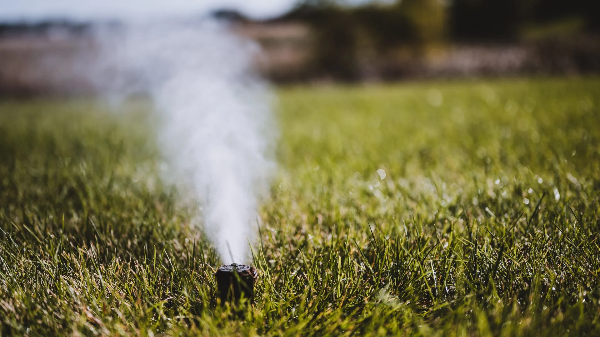 Considering DIY Irrigation Winterization? Don't Do It!