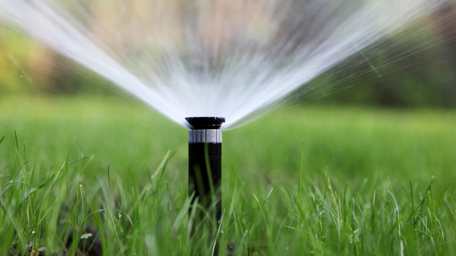 Having Your Irrigation System Winterized? Schedule a Startup Service, Too!