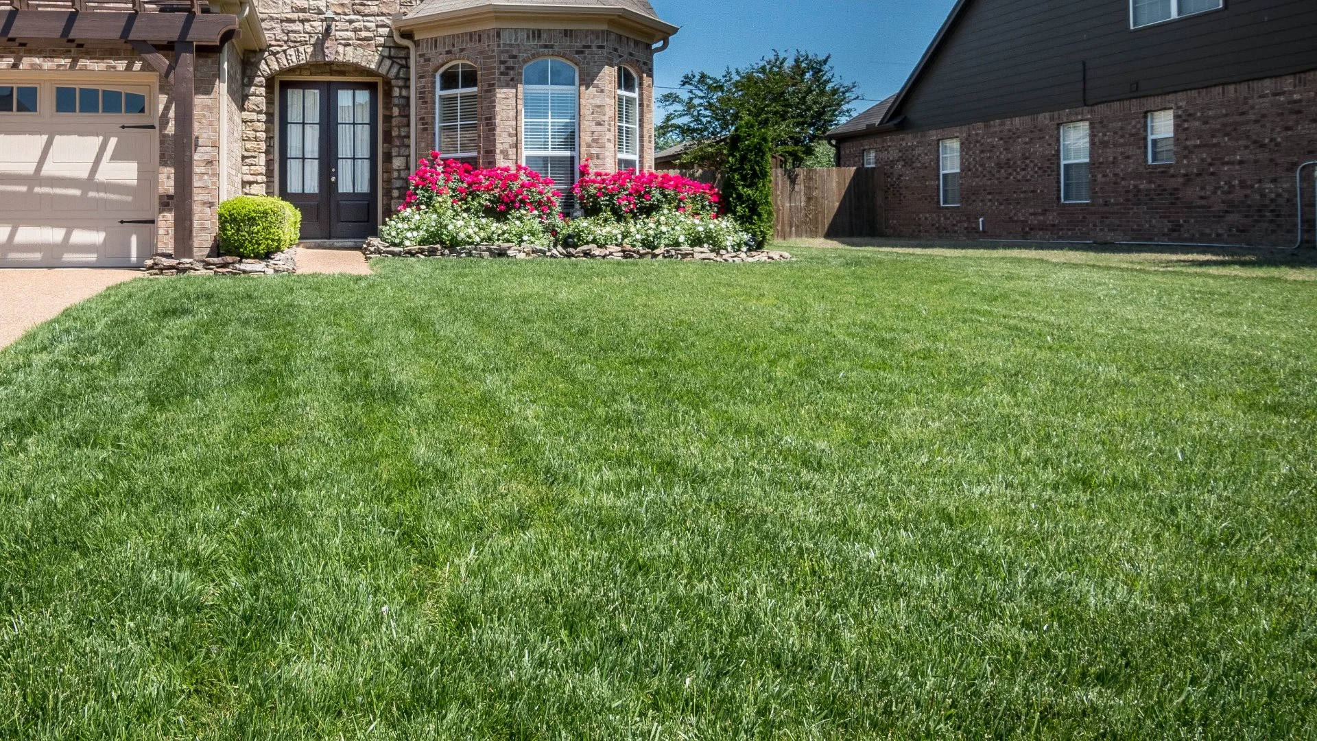 How to Tell if Your Lawn Needs a Fertilizer Treatment