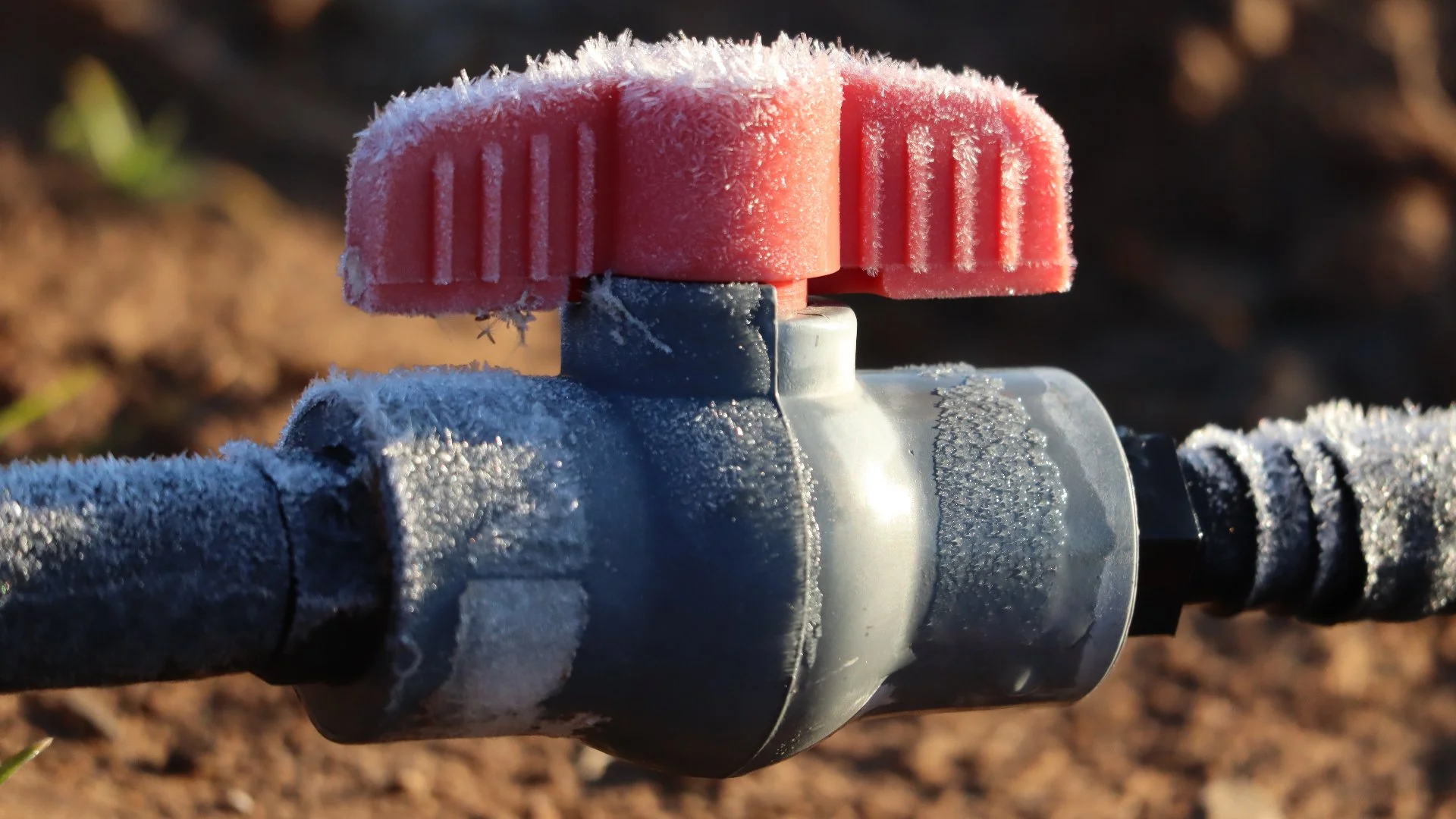 What Should You Expect When Professionals Winterize Your Irrigation System?