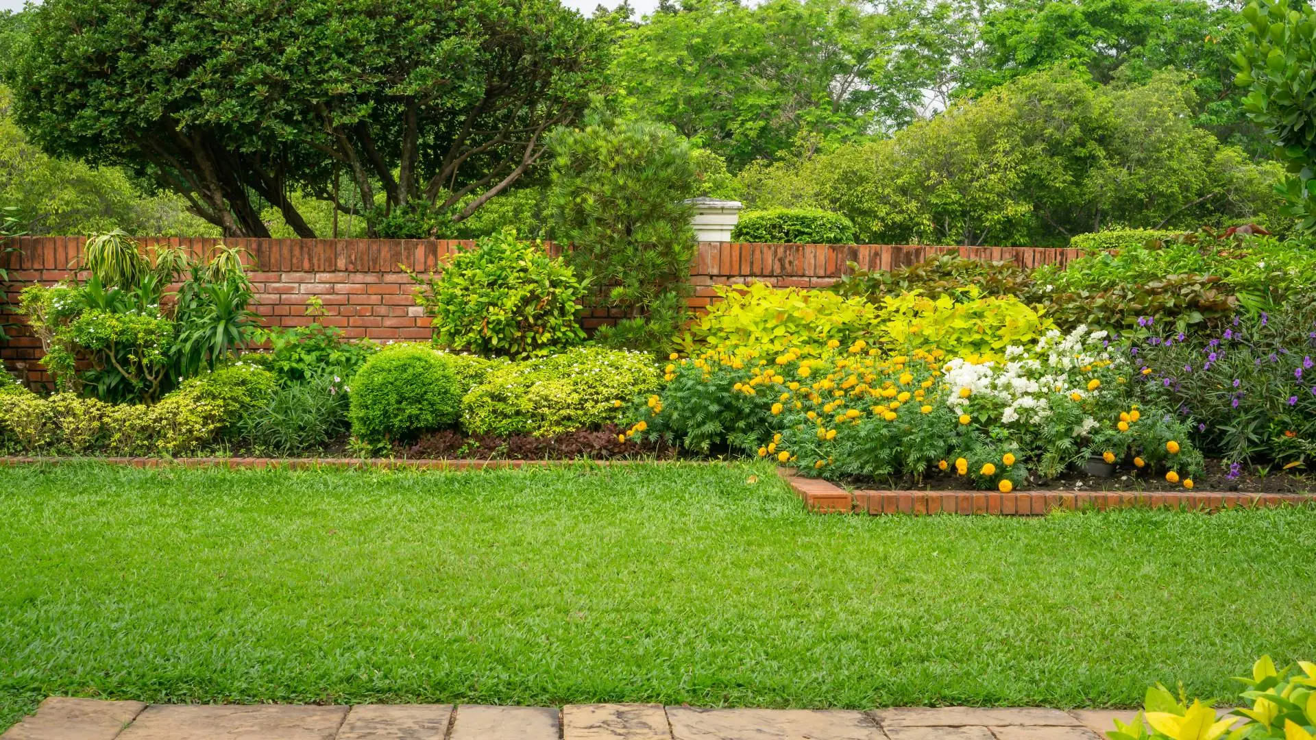 How To Care For Shrubs In Bartlett, TN