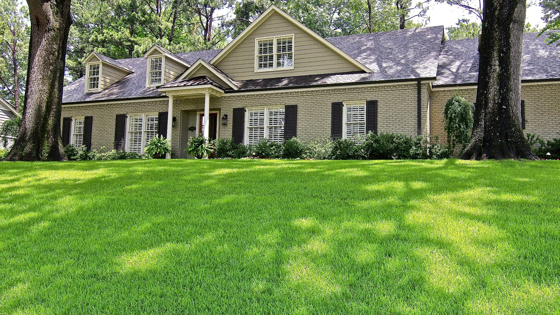 Potassium Is an Essential Nutrient That Your Lawn Needs in the Fall