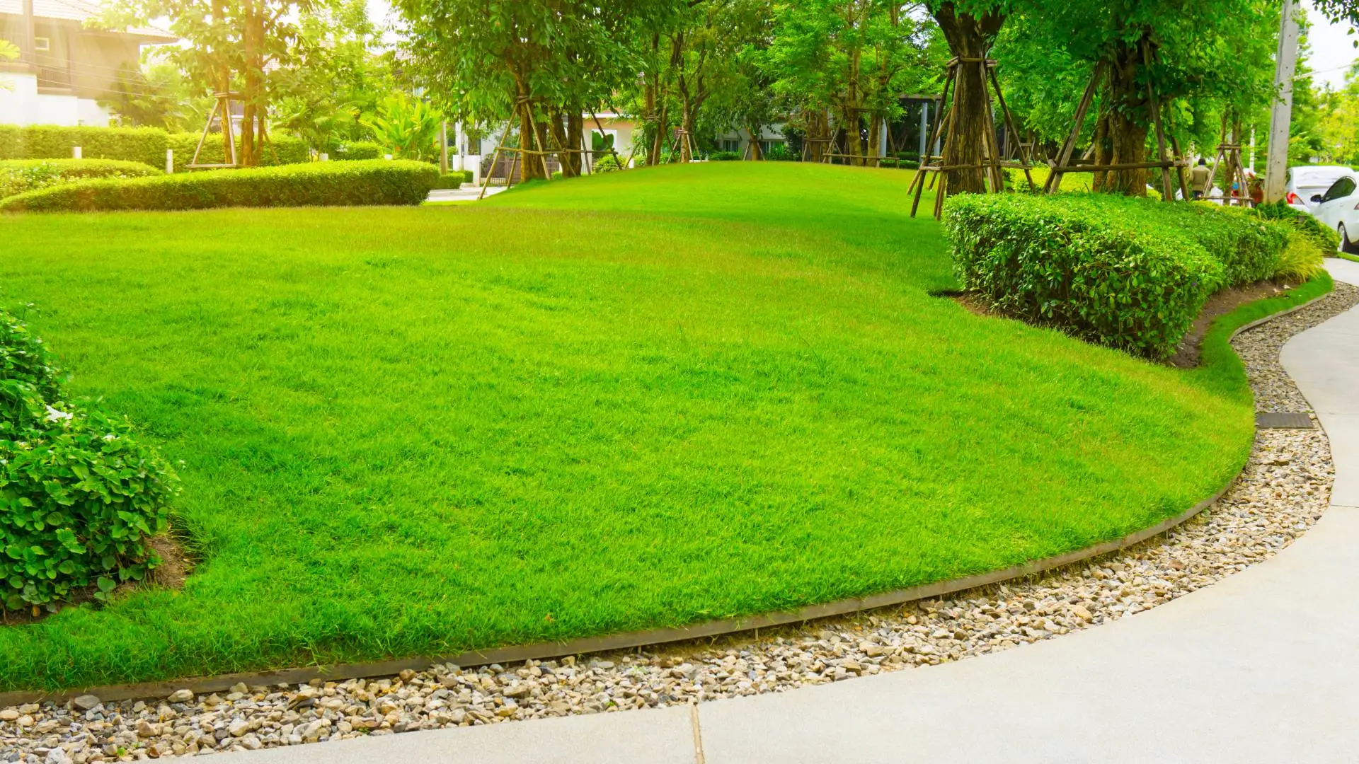 Benefits of Consistent Lawn Care Programs in Bartlett, TN