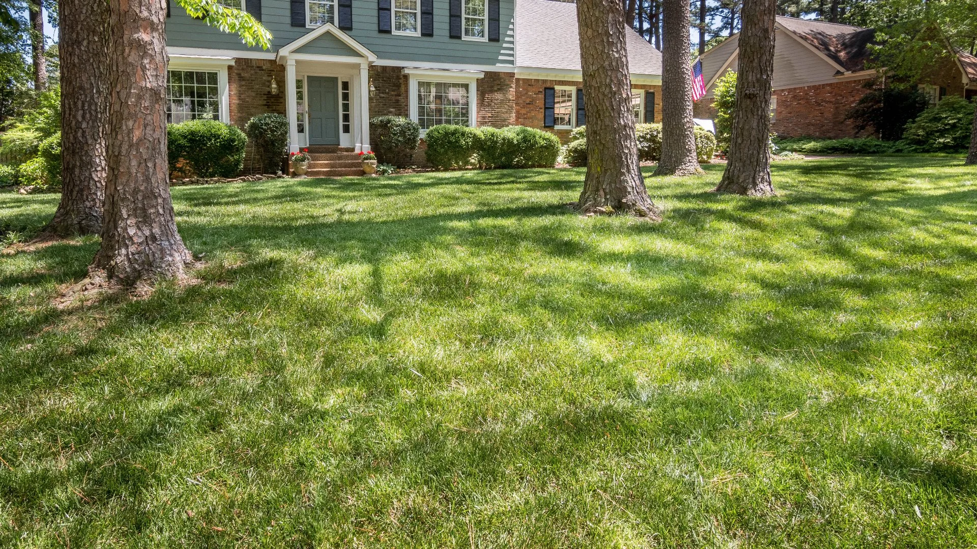 How Many Times per Week Should You Fertilize Your Lawn?