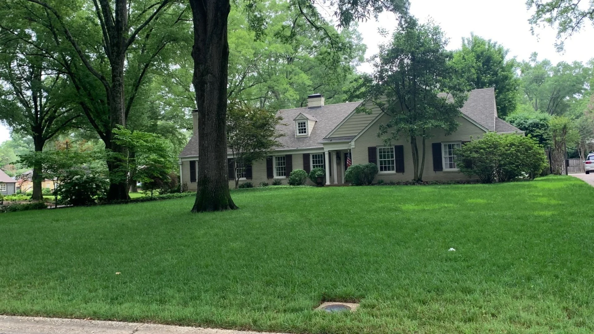 How Often Should You Fertilize Your Lawn During the Summer Season?