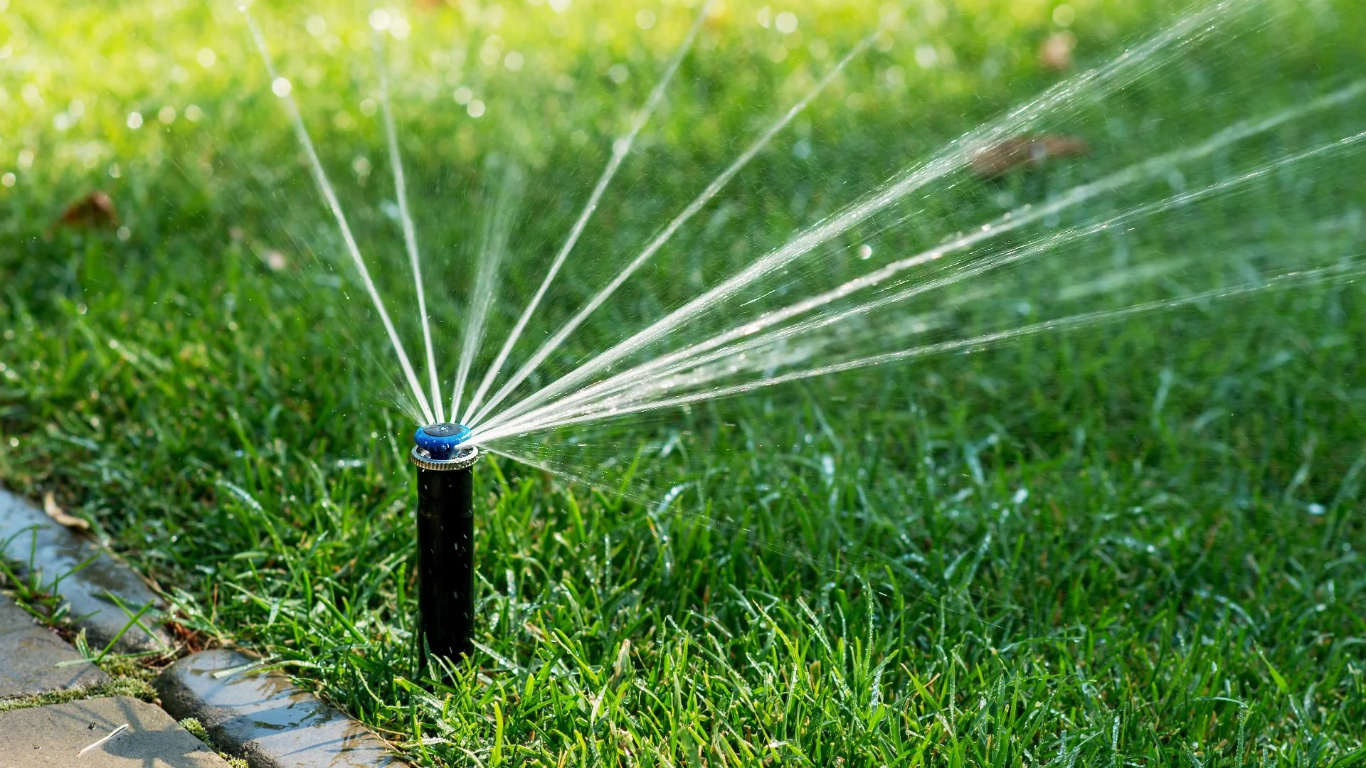 What Can Cause Your Irrigation System to Stop Working?