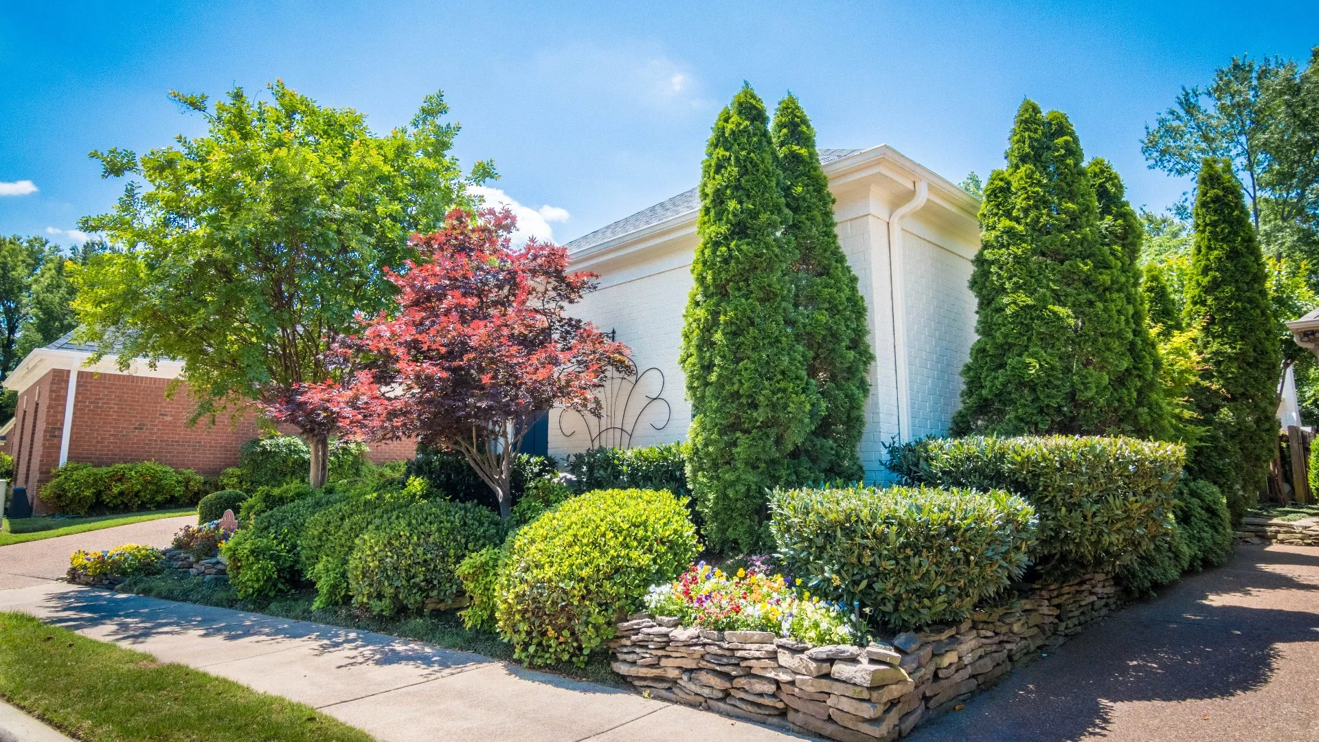 Help Your Trees & Shrubs Thrive With Deep-Root Fertilization