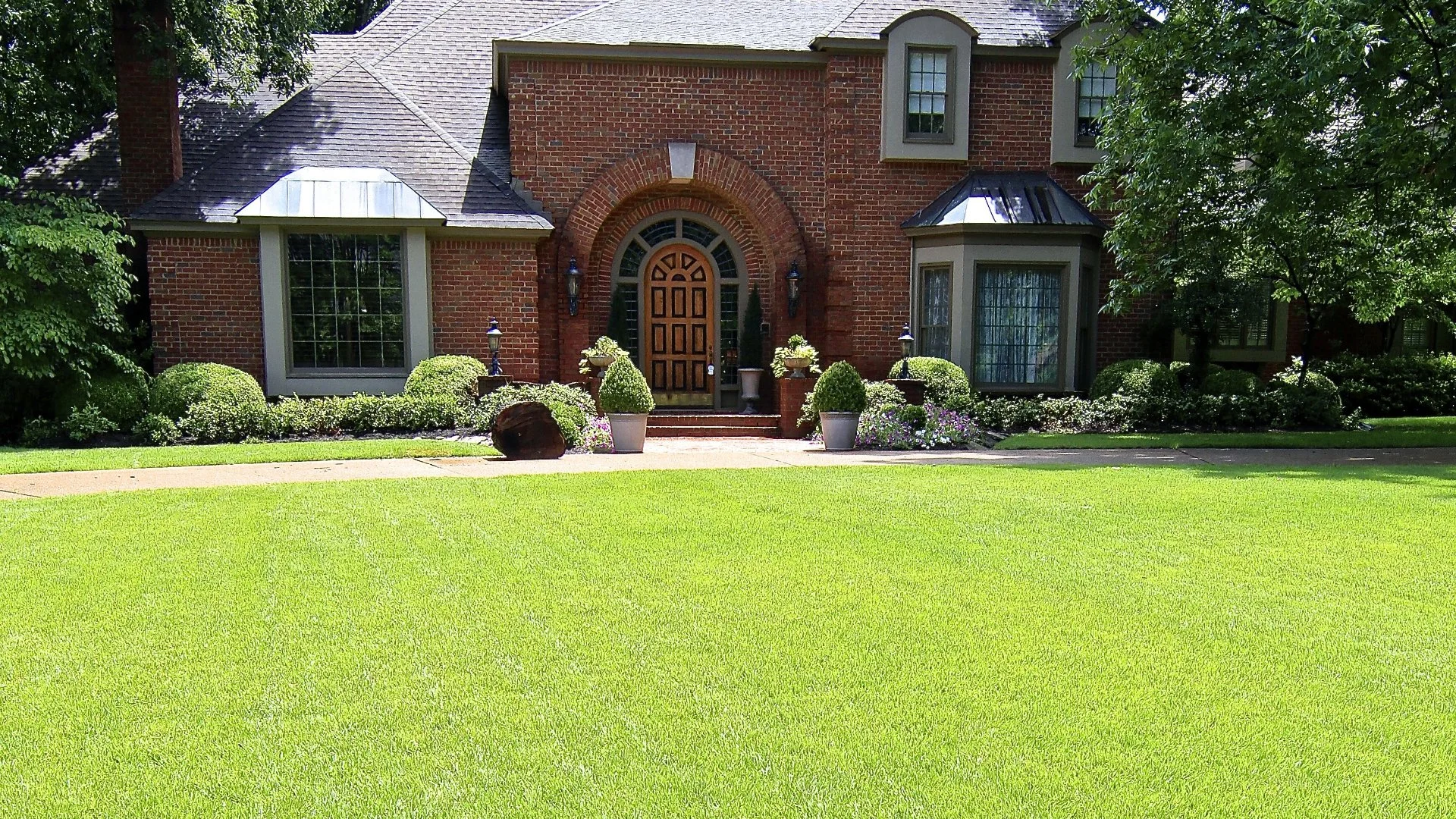 How to Reduce the Chances of Lawn Diseases