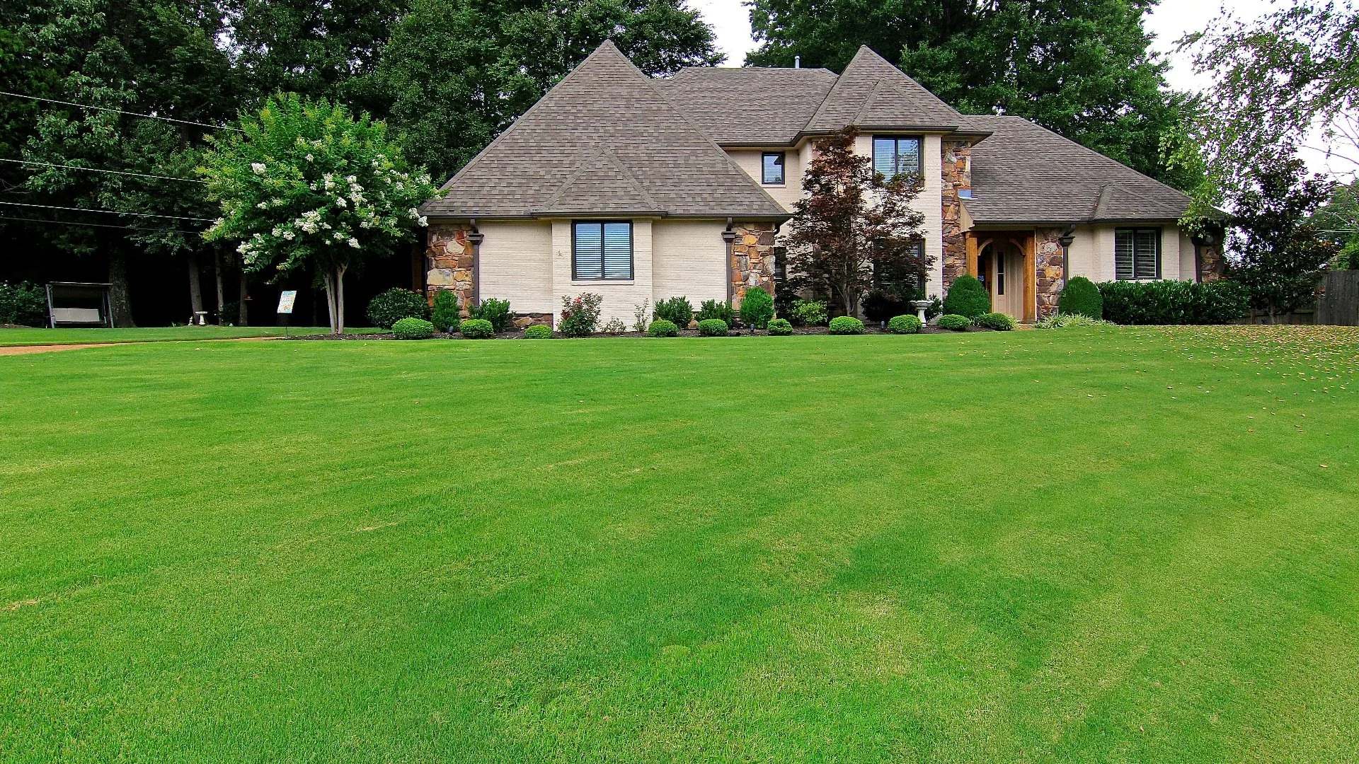 Is It Okay to Overseed With a Different Type of Grass?