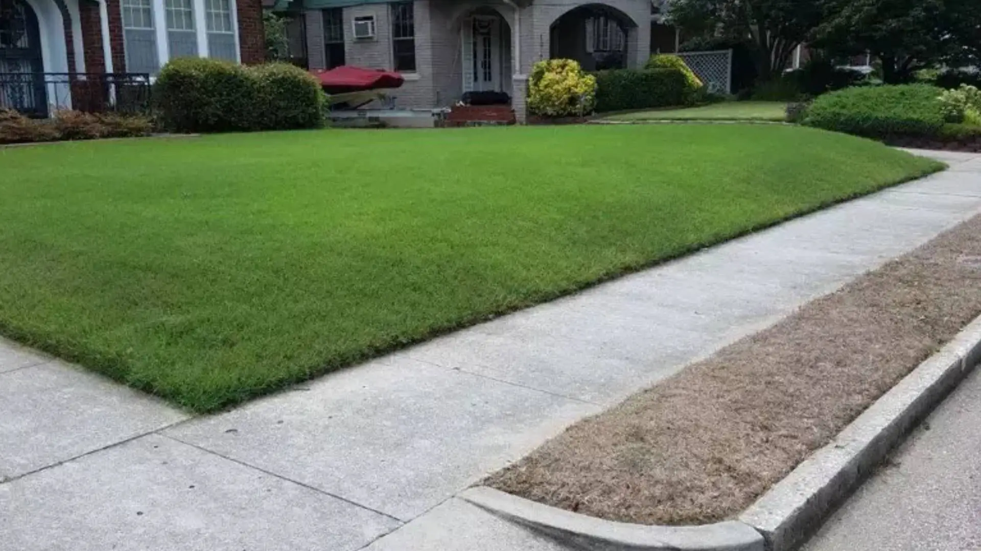 Brown Patches on Lawn