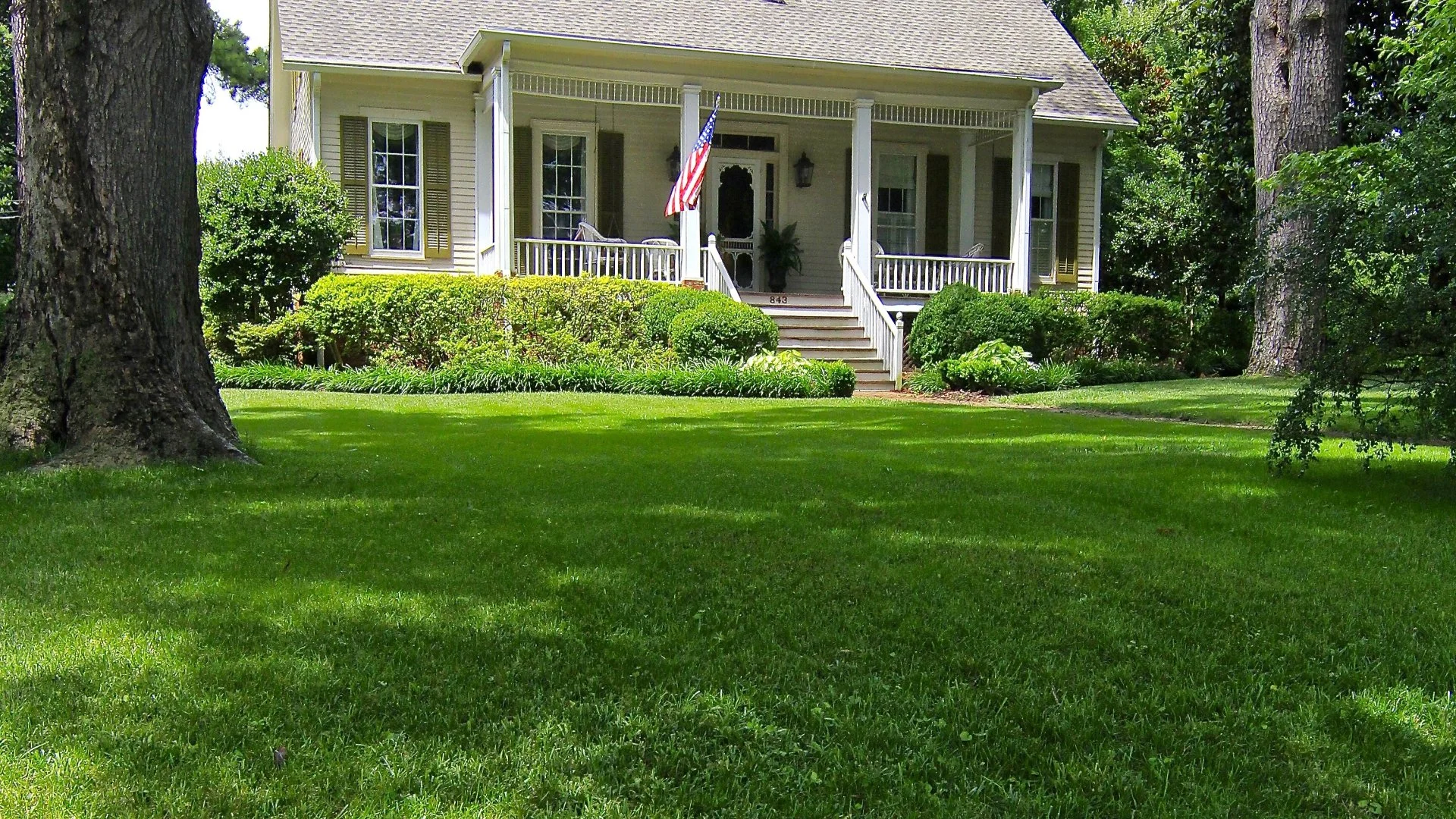 What Should You Do to Help Your Lawn Recover From Fertilizer Burn?