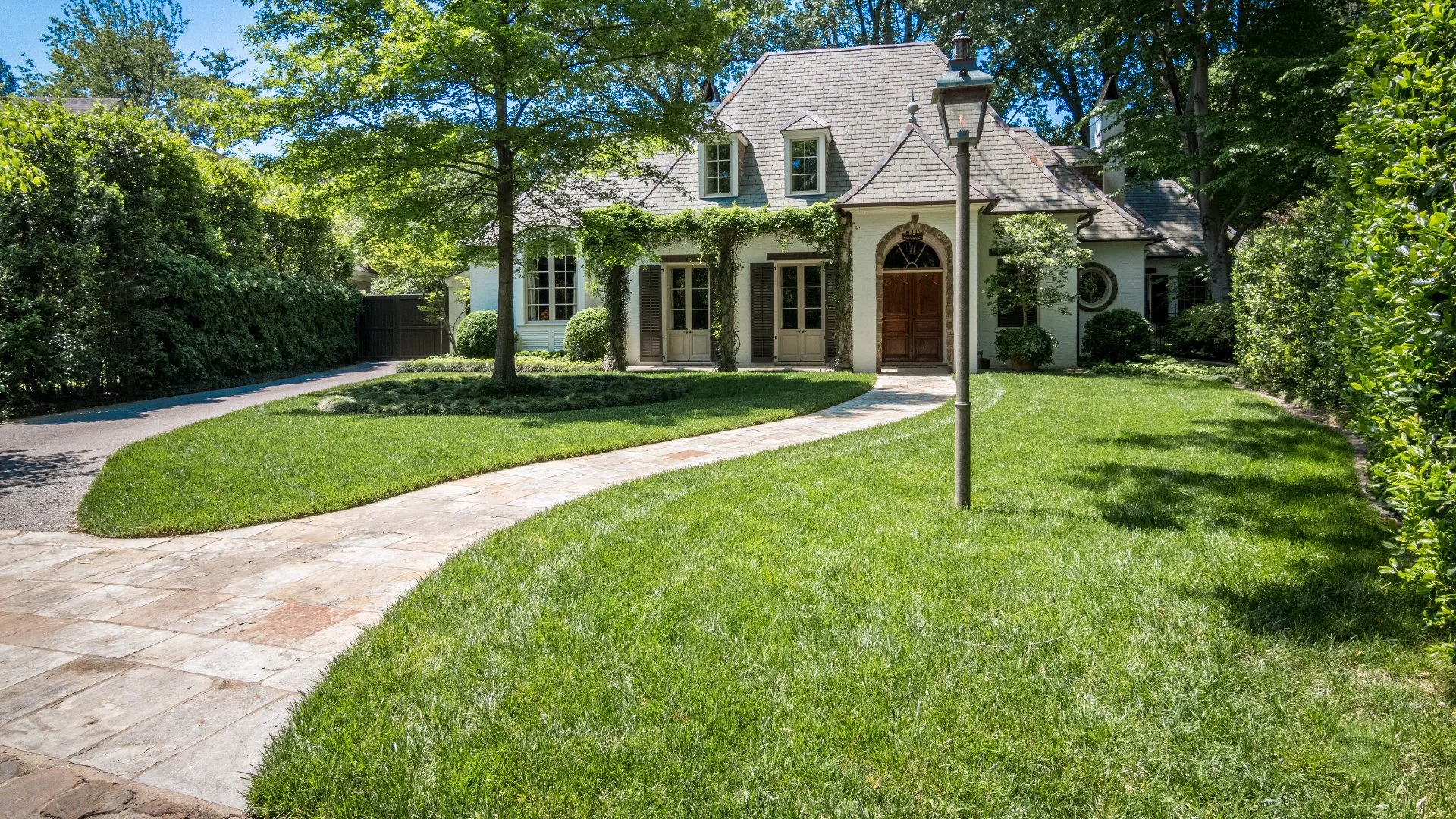 Can a Lawn Disease Go Away on Its Own?