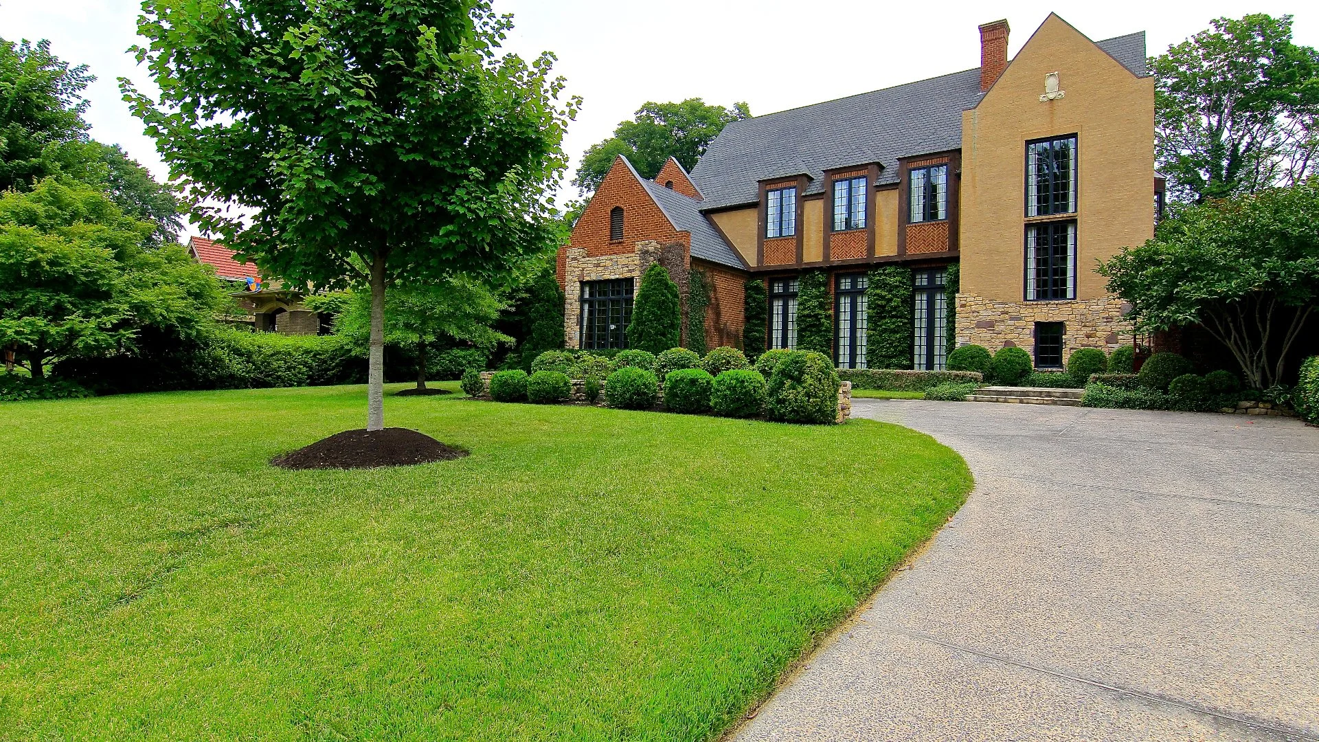 These Problems Indicate Your Lawn's Soil Is Compacted