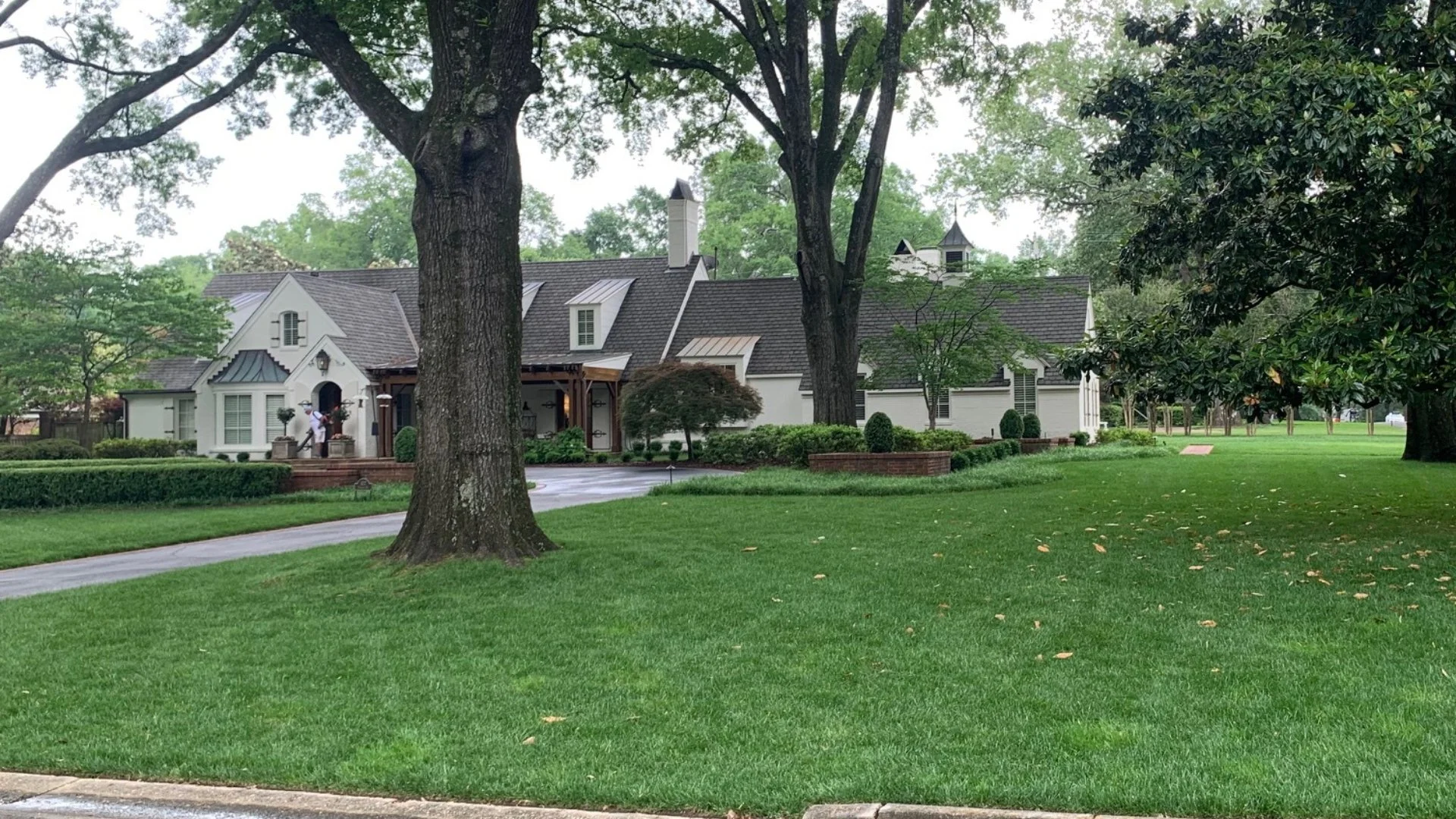 How Does Pre-Emergent Weed Control Work?