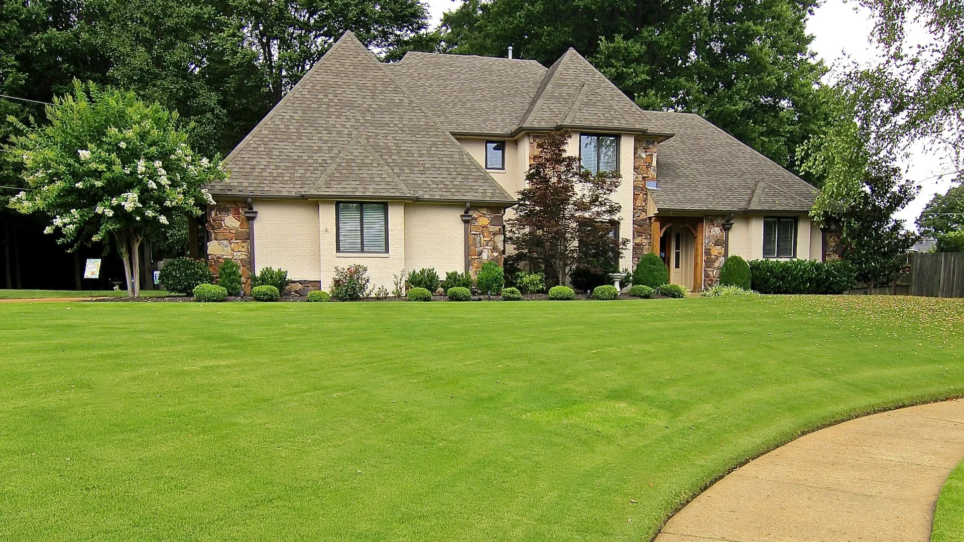 Why Didn't Your Weed Control Treatment Work?
