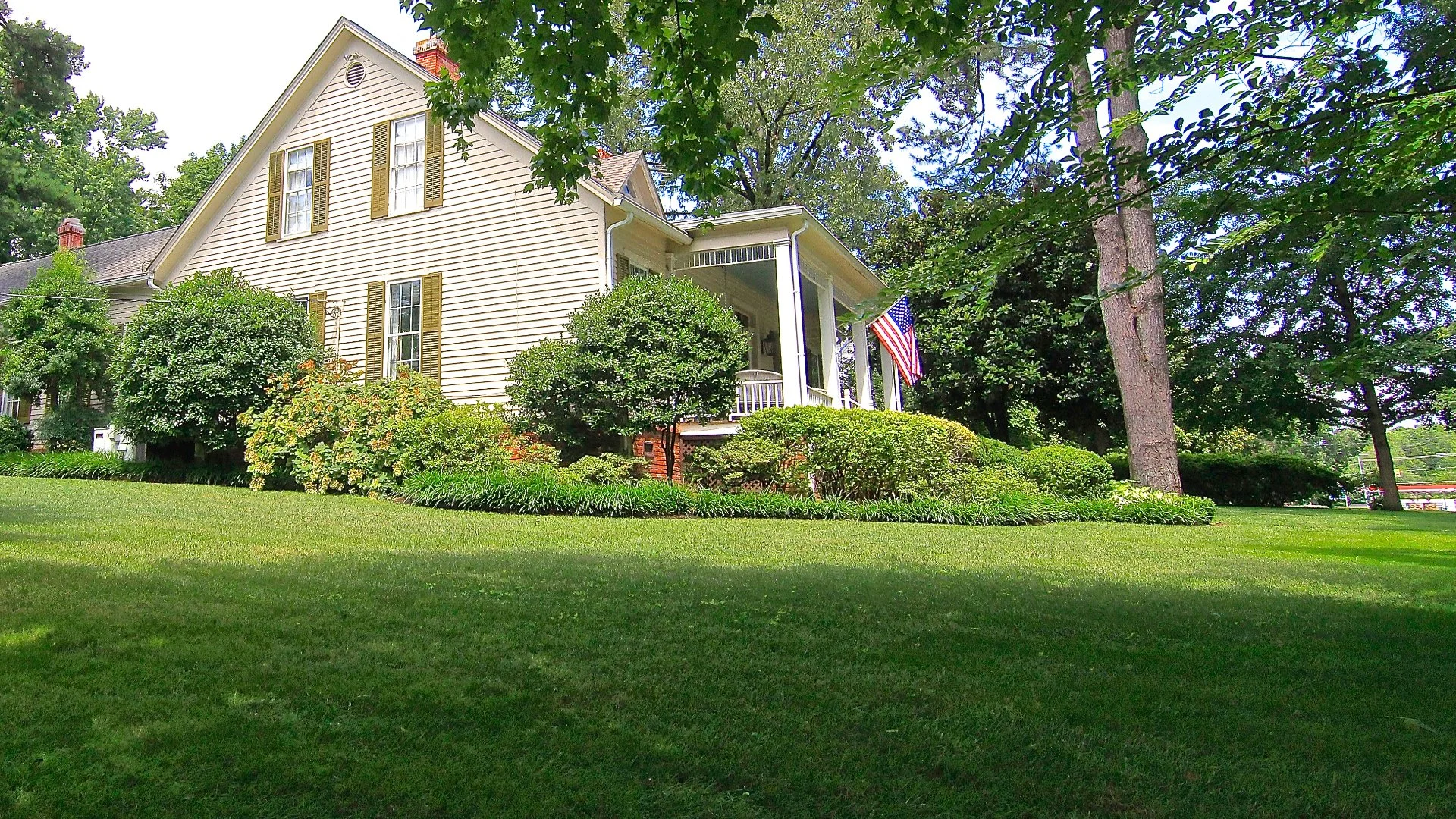 Dollar Spot Disease: What It Is & How to Control It