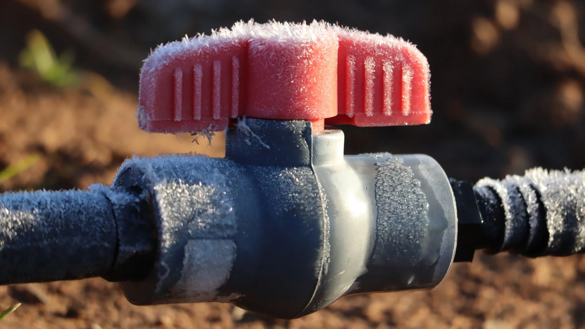 Here’s What Can Happen if You Don’t Have Your Irrigation System Winterized