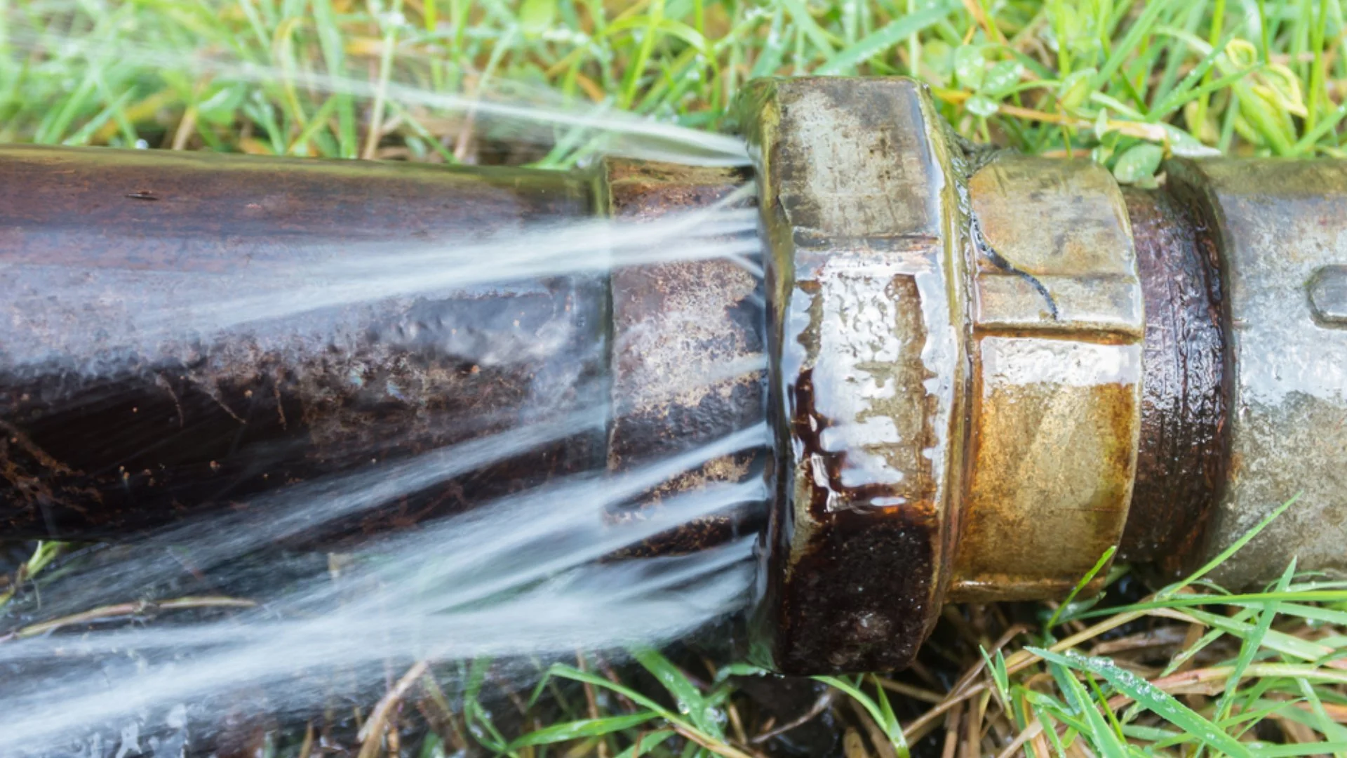 How to Tell if There Is a Leak in Your Irrigation System