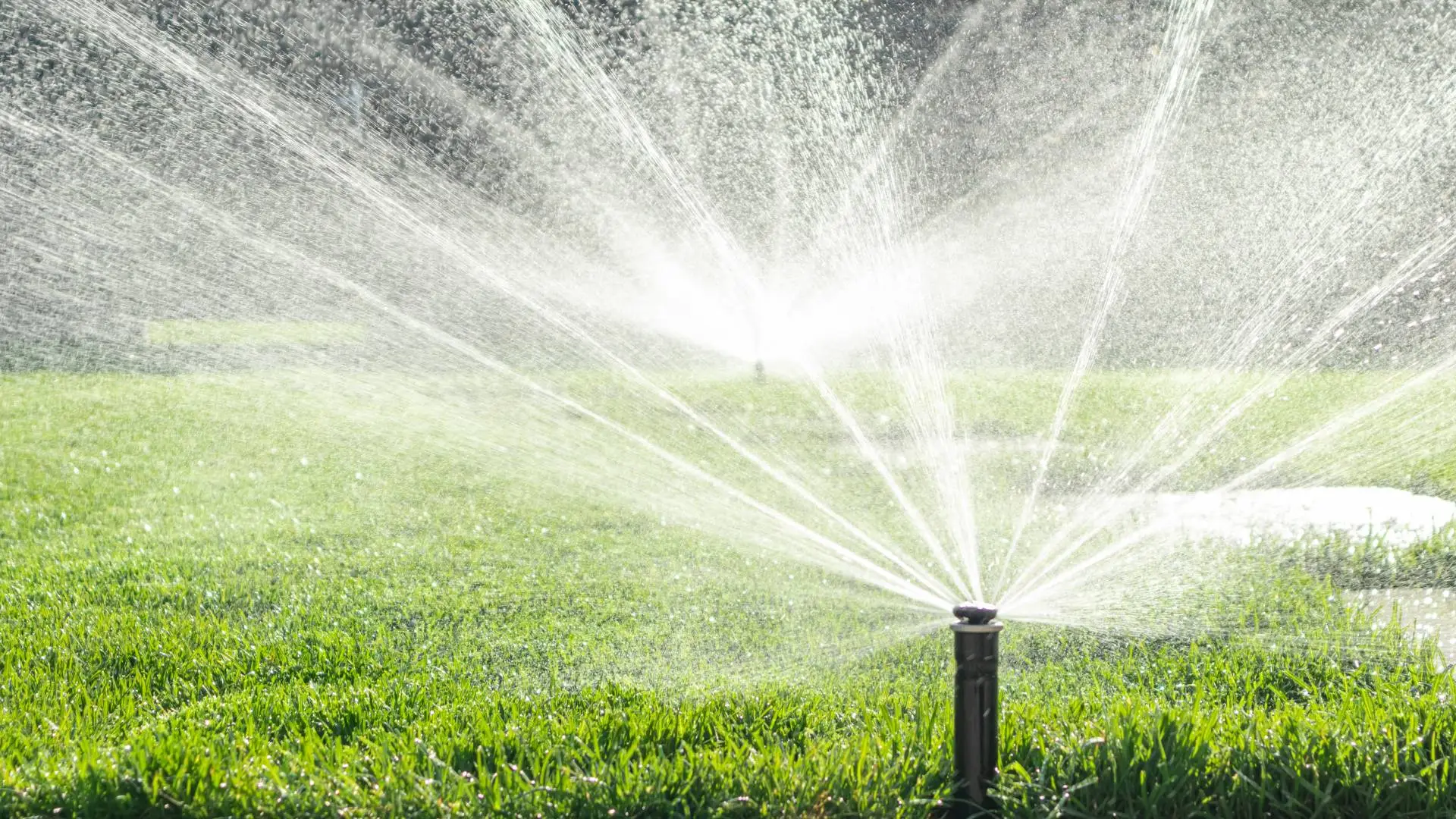 Maintain Your Irrigation System in Bartlett, TN
