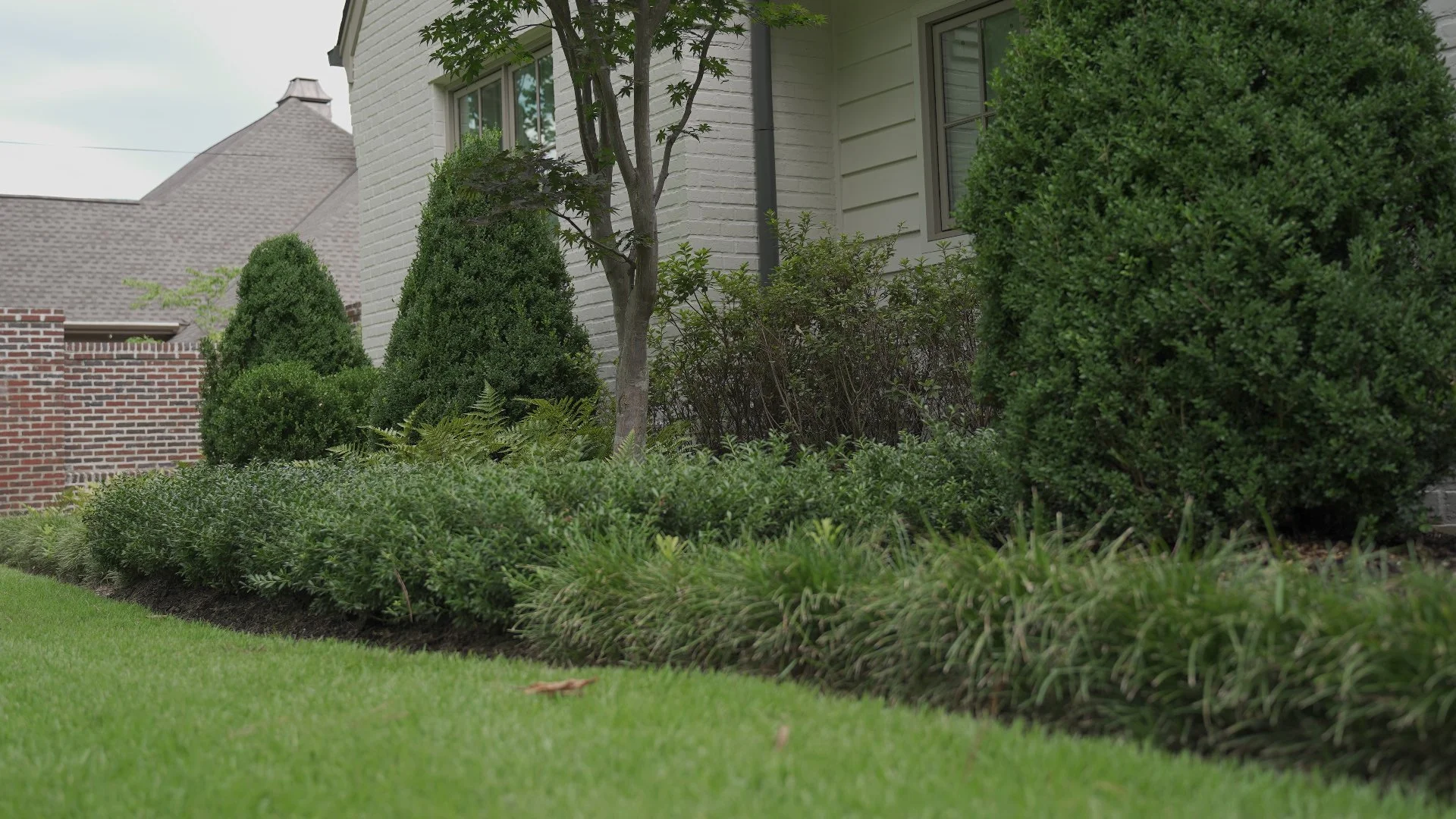 Weeds Are Bad News for Your Landscape Beds - Kick Them Out ASAP!