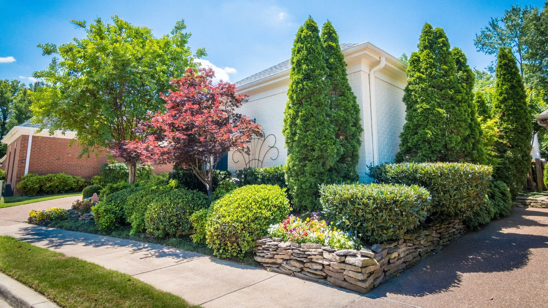 Are Your Trees & Shrubs Nutrient-Deficient? Here's How to Tell