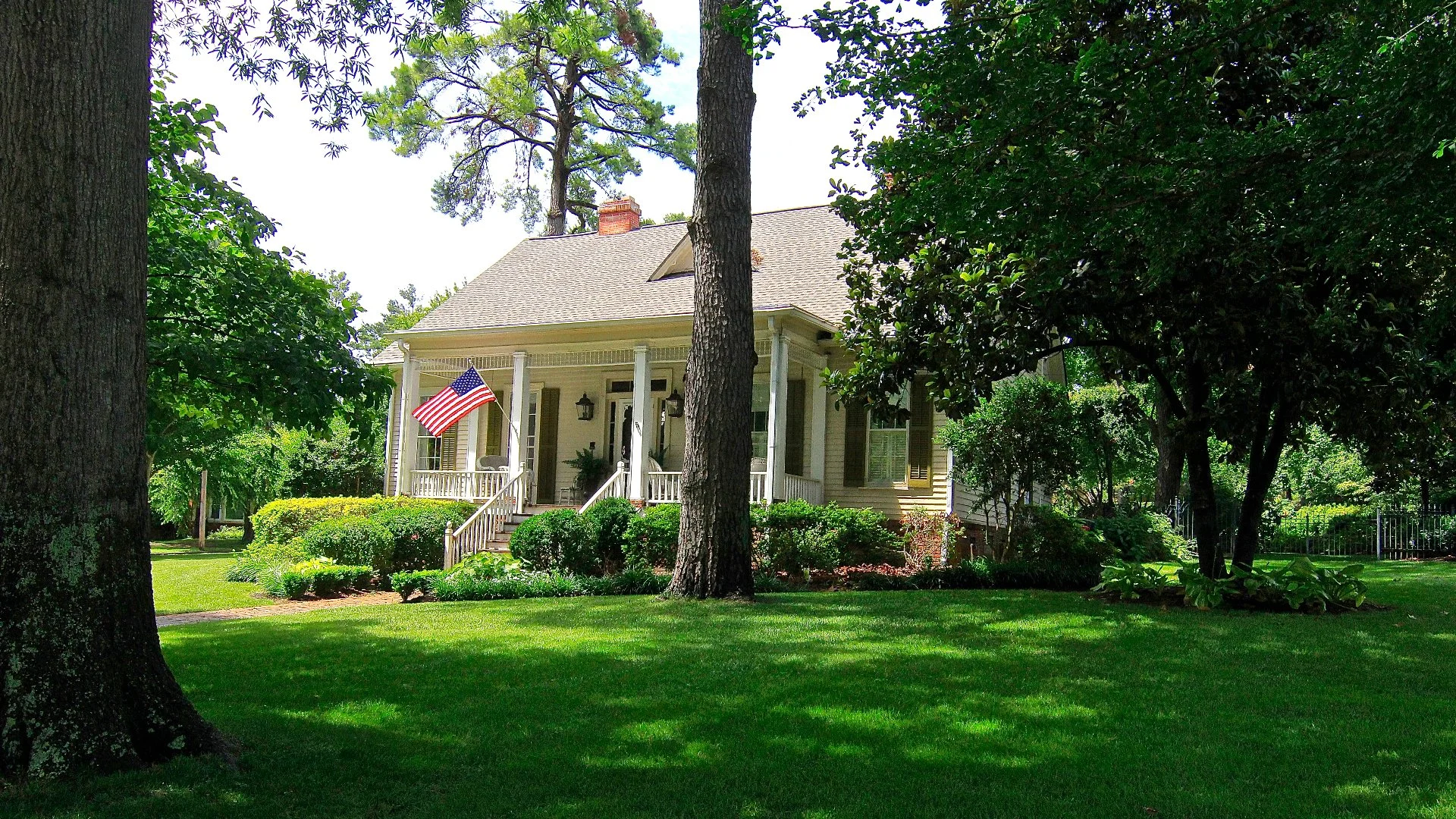 How Many Times Do You Need to Fertilize Your Trees & Shrubs?