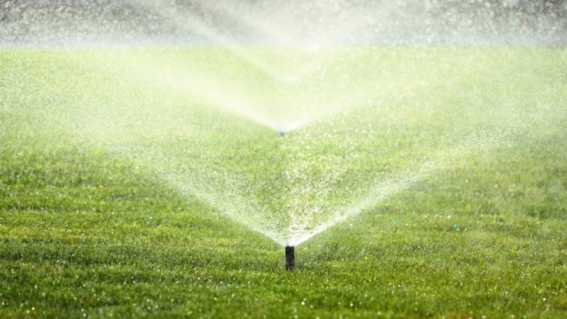 Why Do Your Sprinkler Zones Keep Running?
