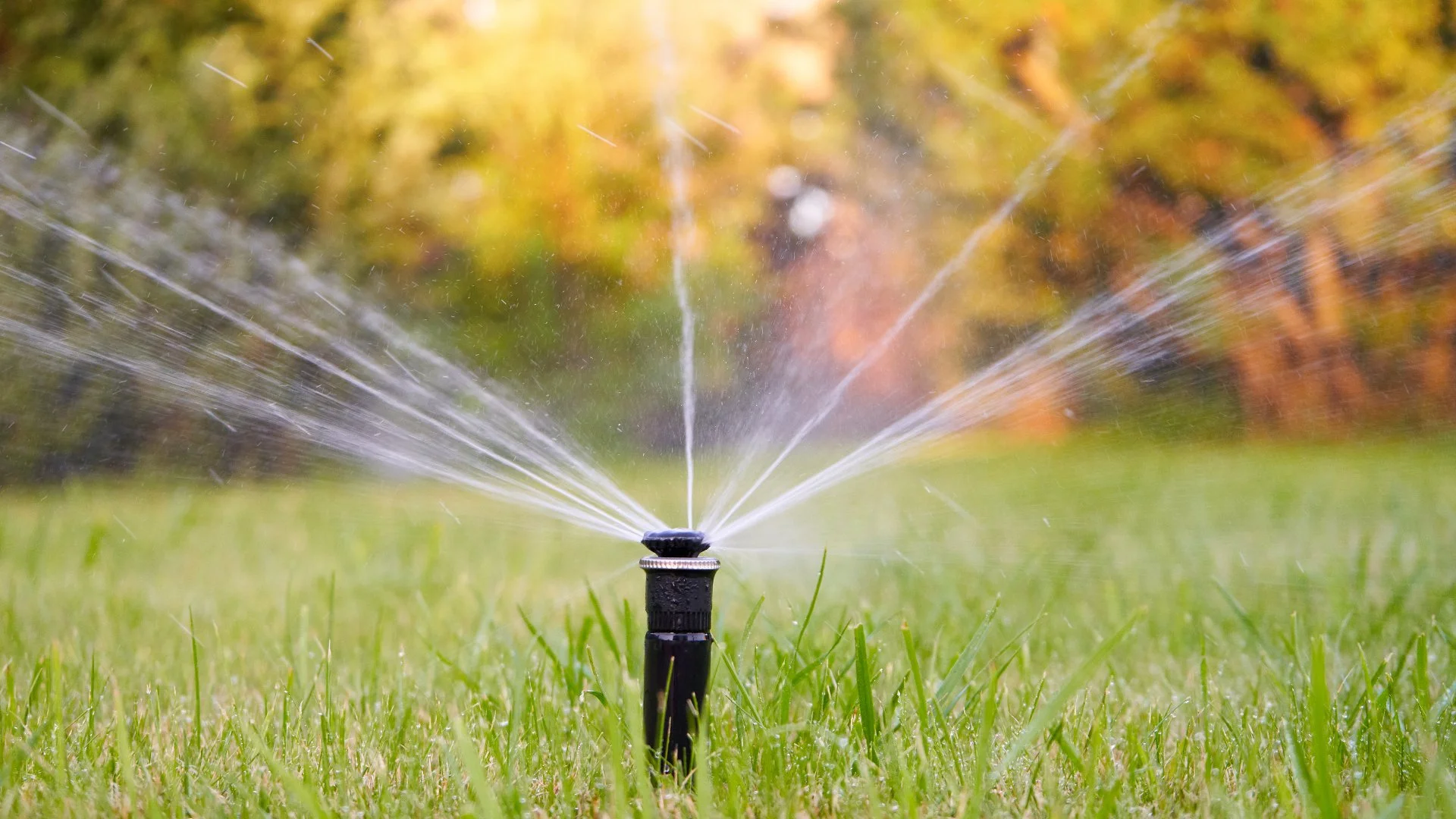 Why Are Some Sprinkler Zones Not Working?