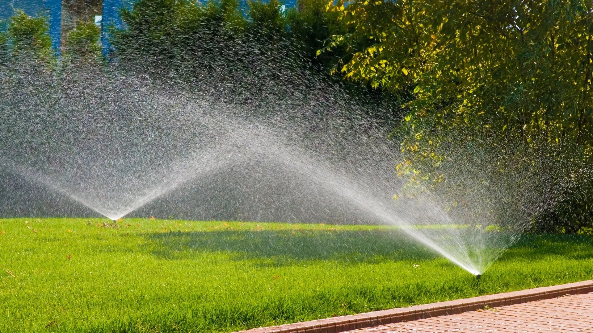 Common Causes of Sprinklers That Won’t Turn Off