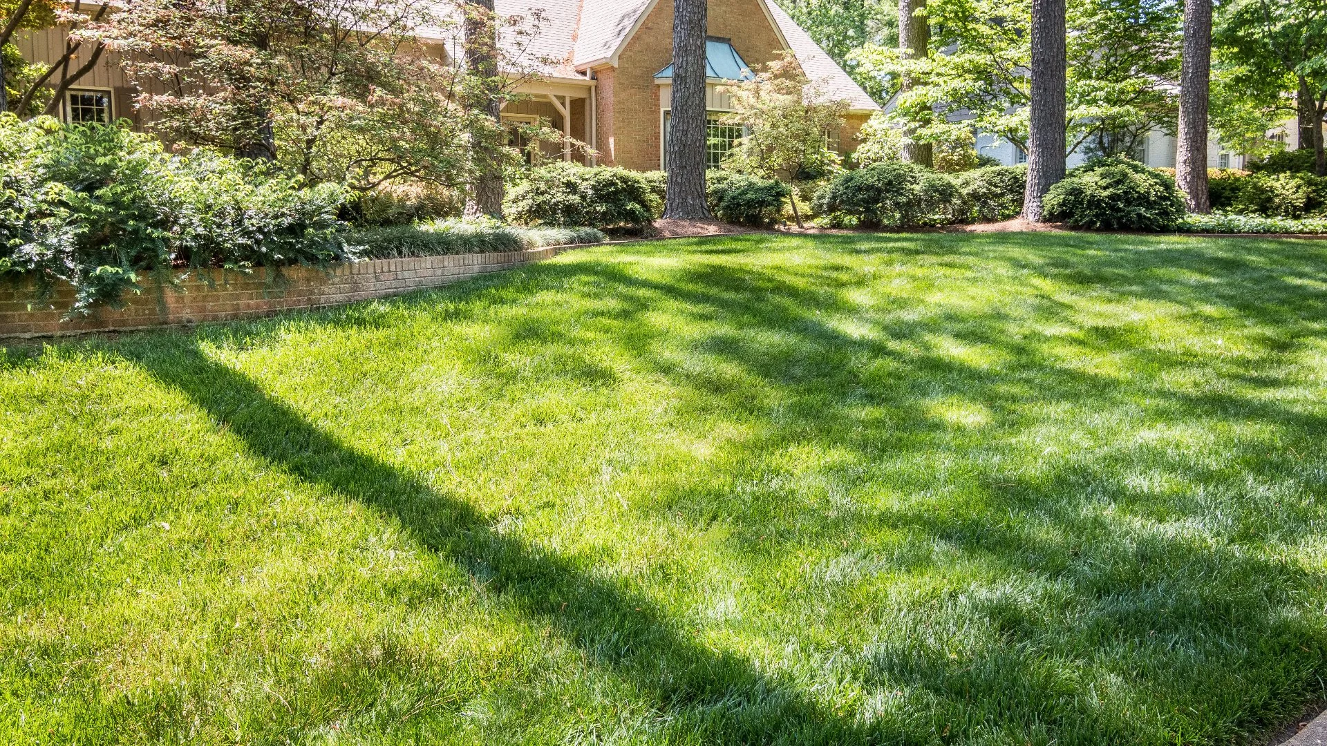 Set the Stage for a Healthy Growing Season With Spring Fertilization