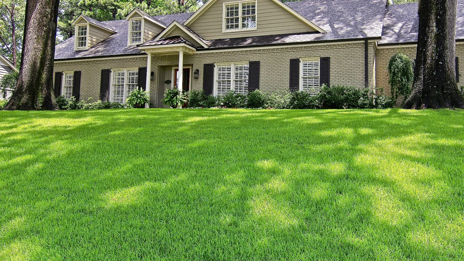 Can Overseeding Your Lawn Help Prevent Weeds?
