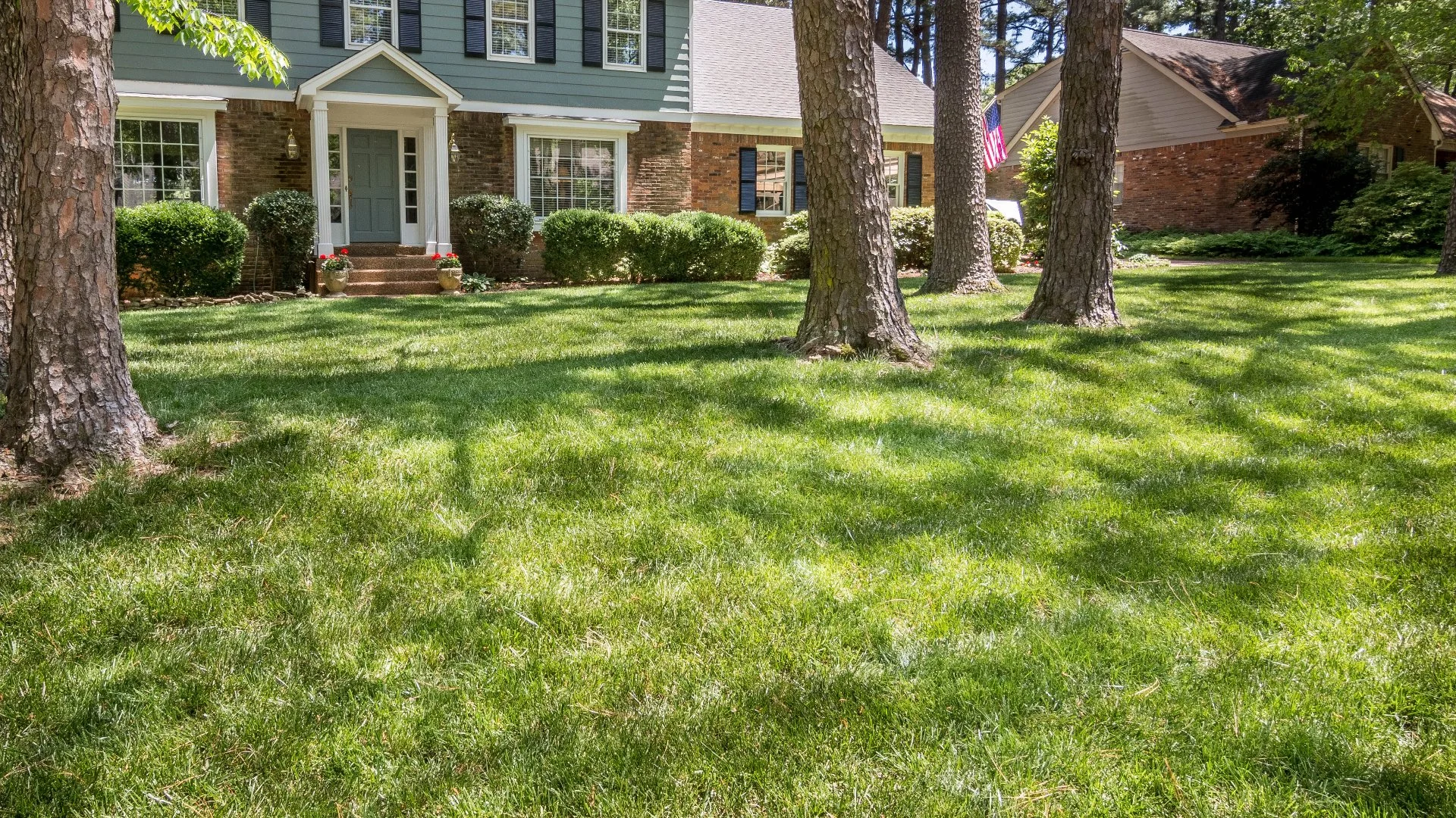 What Is Overseeding for Your Lawn?