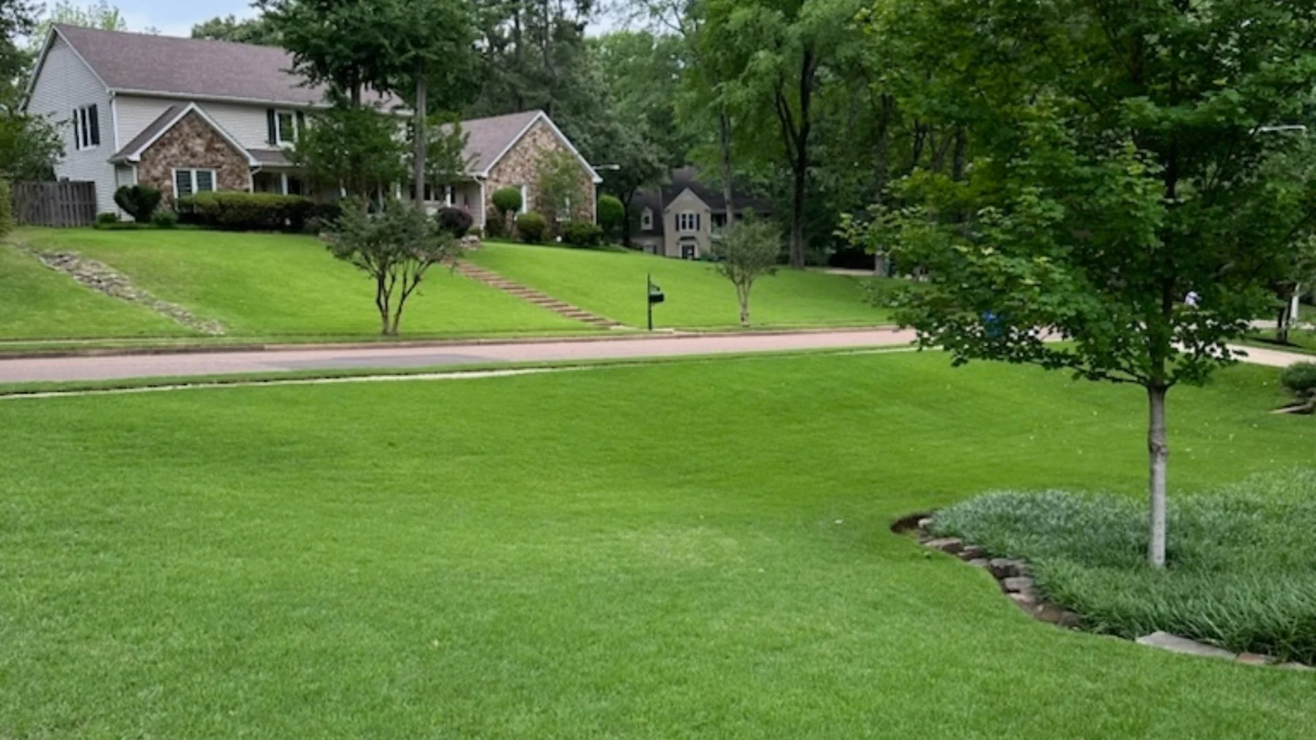 Fescue Seeds Are Ideal for Overseeding Cool-Season Lawns in Tennessee!