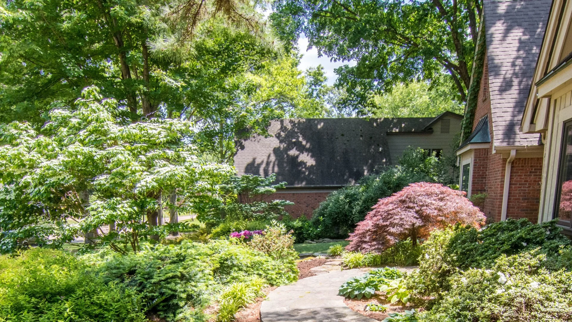 Horticultural Oil: What Does It Do for Your Plants?