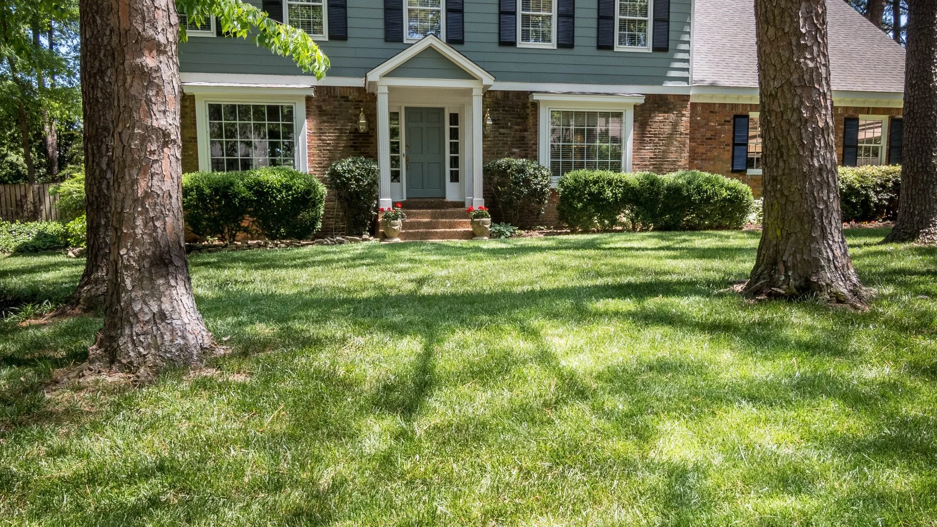 Will Zoysia Fungus Go Away on Its Own?