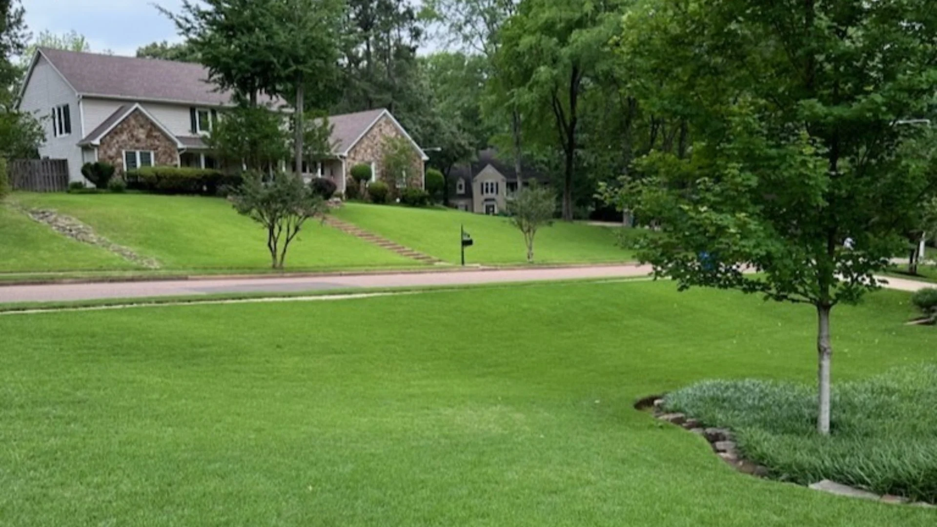Will Heavy Rain Wash Away Grass Seed?