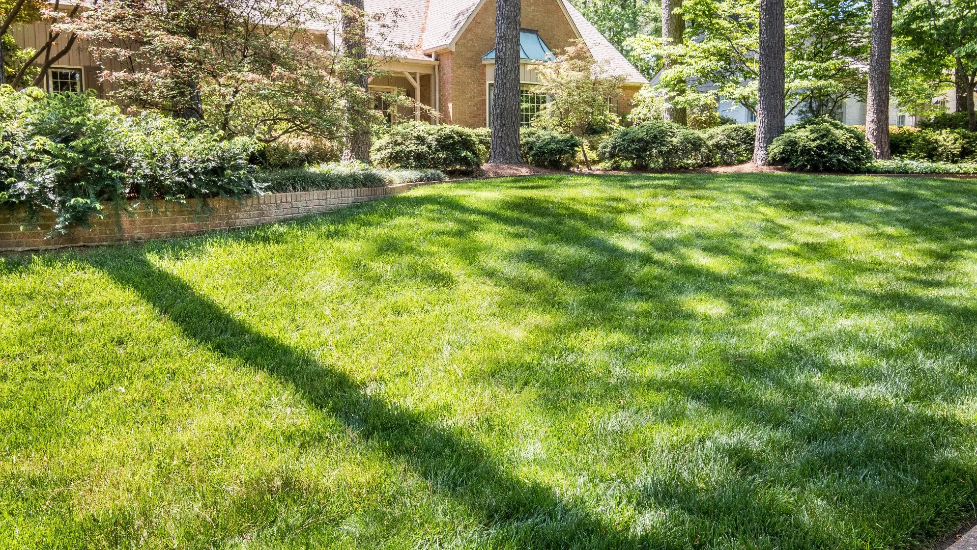 Core Aeration: The Benefits & Potential Drawbacks