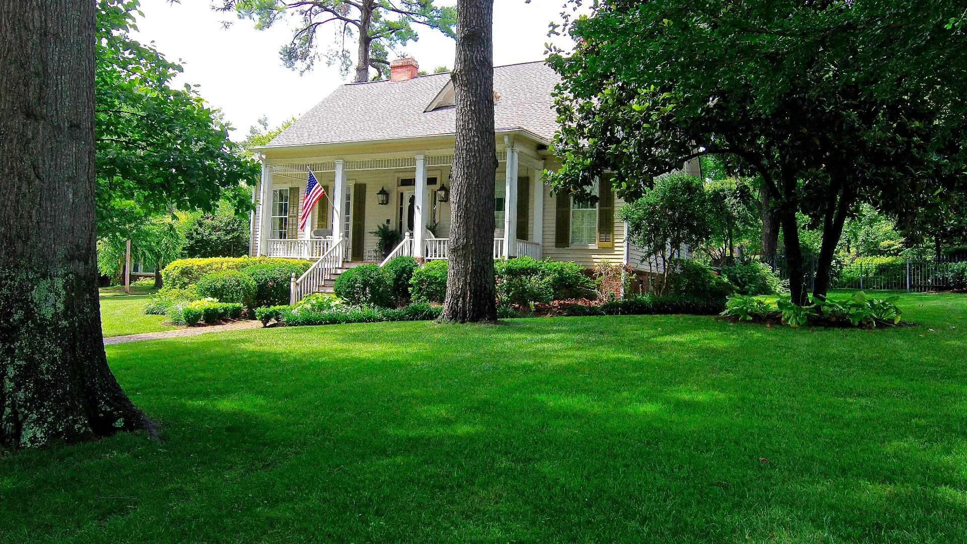 Shaded grass under a tree.