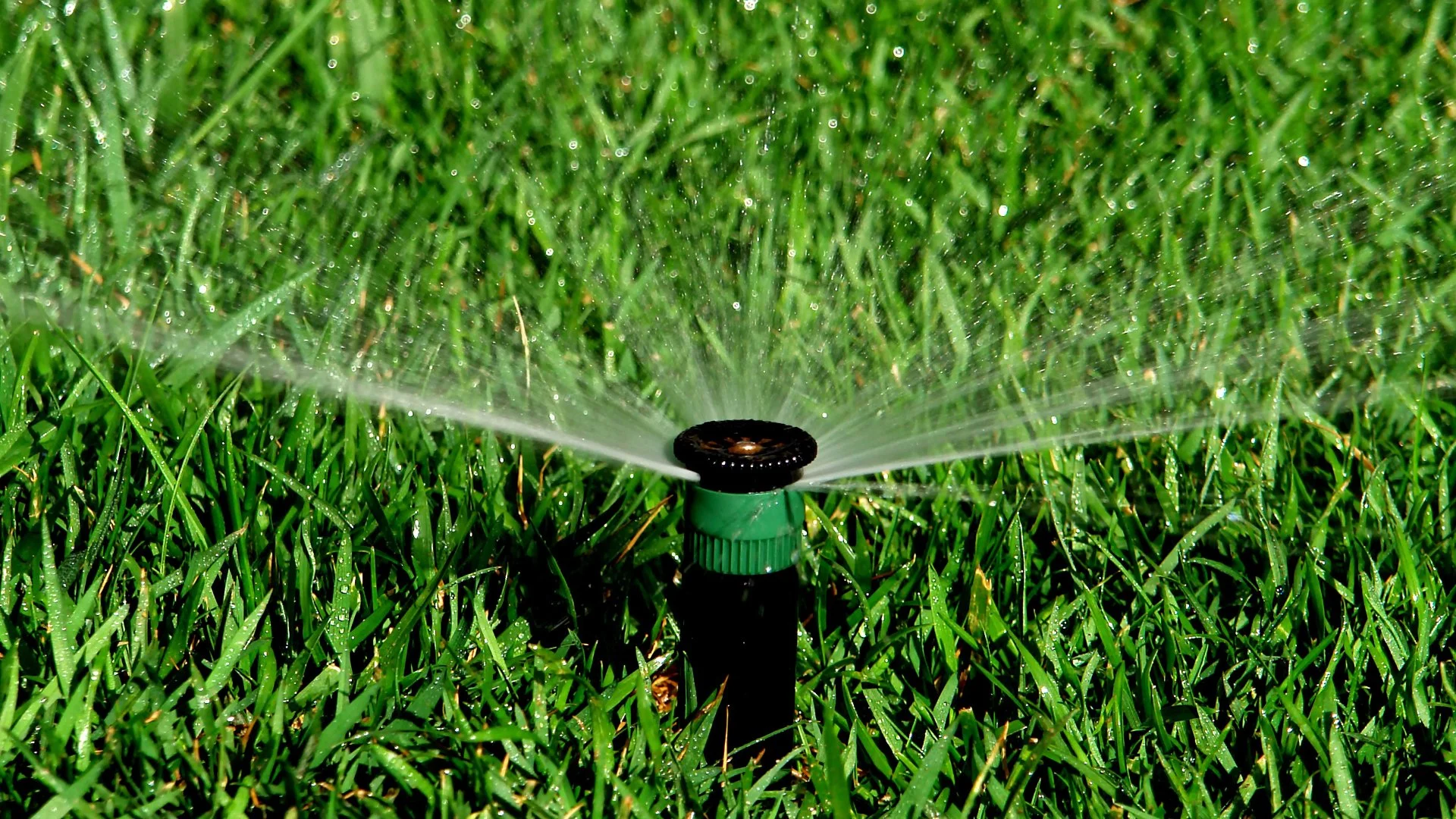Why Won't Your Sprinkler Heads Pop Up?