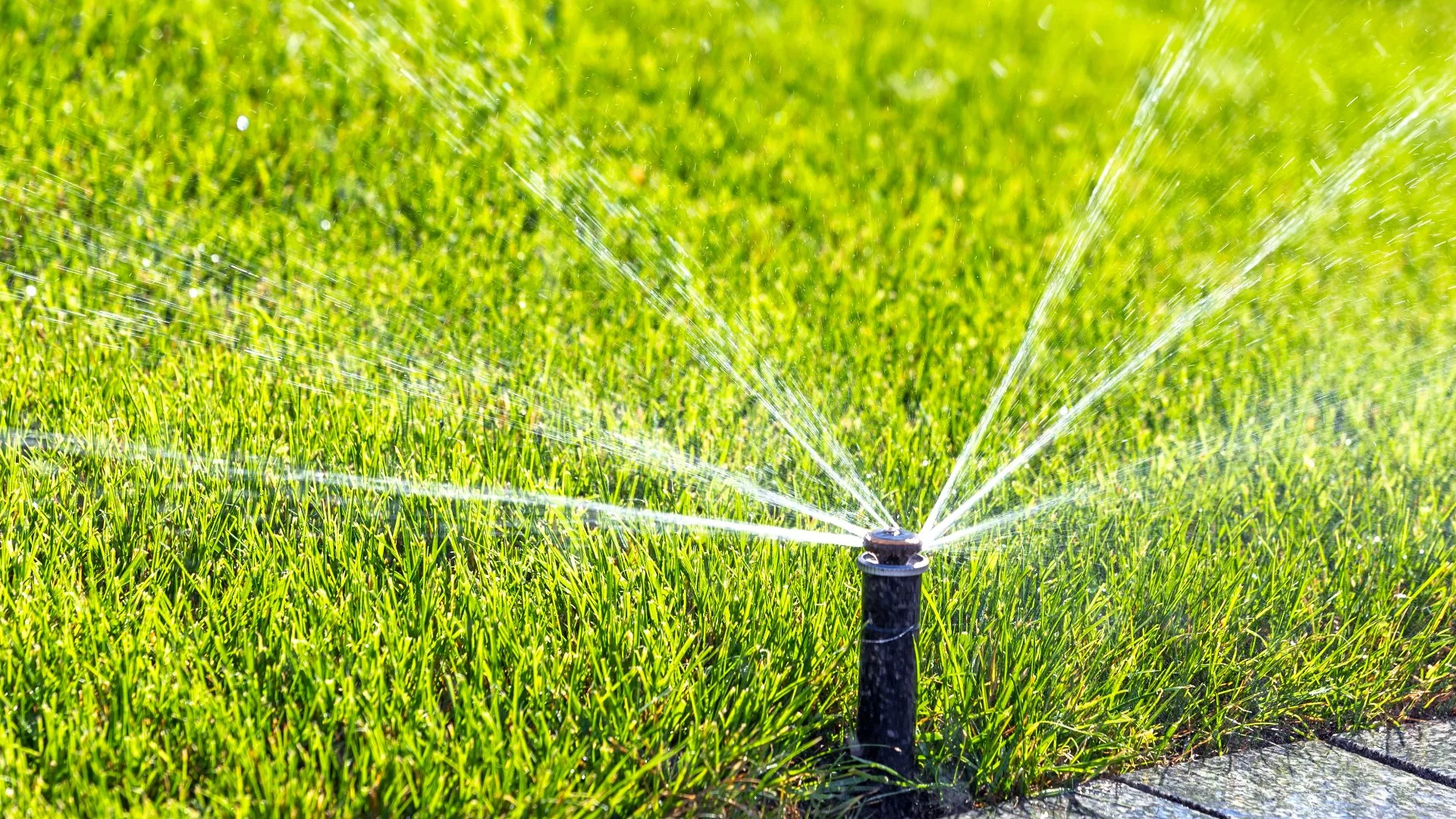 Don’t Try to Repair Your Irrigation System Yourself - Leave It to the Pros