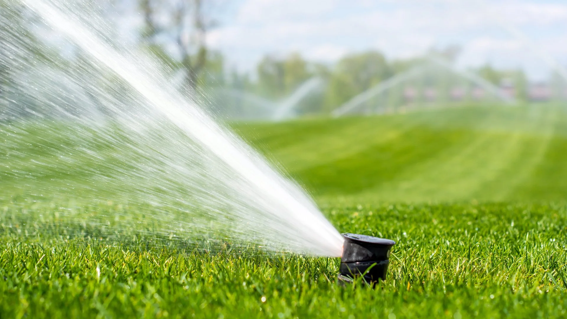 These 3 Signs May Indicate Your Irrigation System Needs to Be Repaired!
