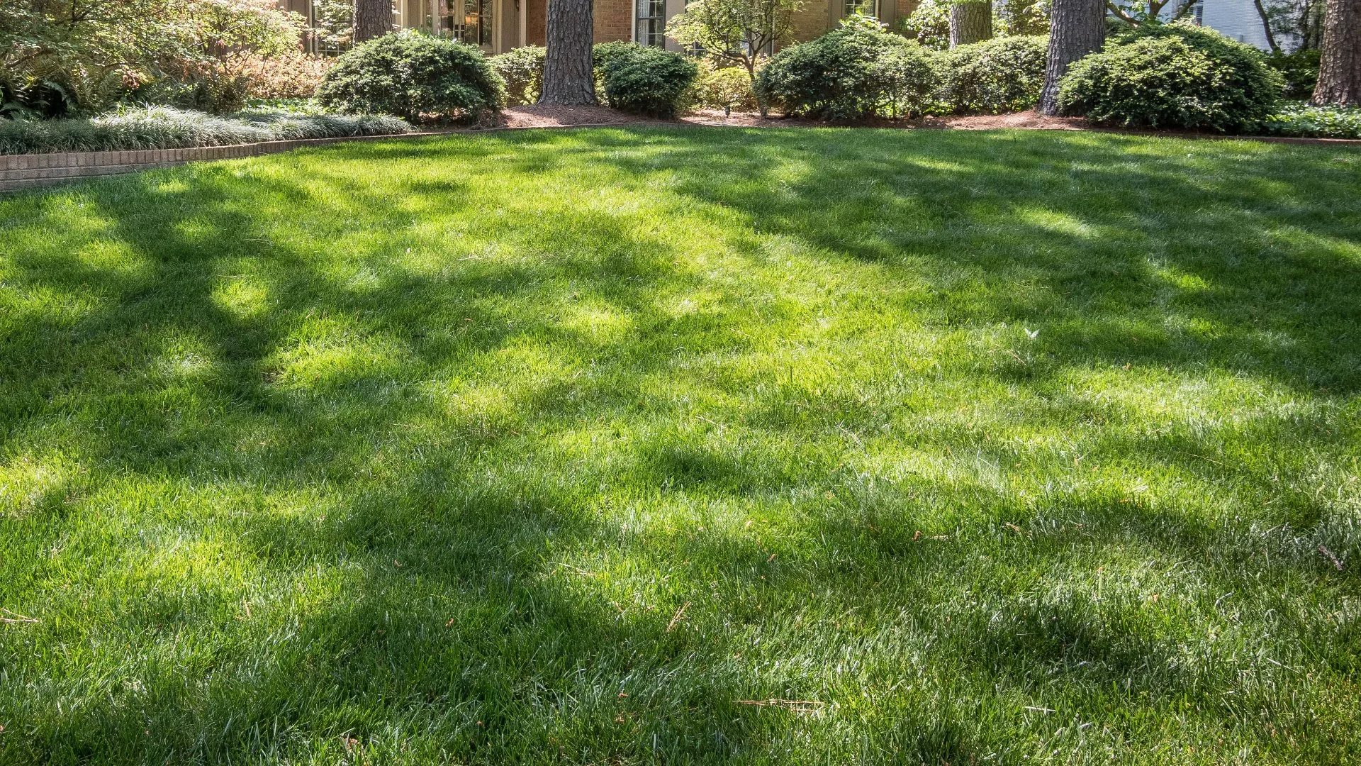 Lawn Care Tips for Helping Your Grass Survive Hot Weather