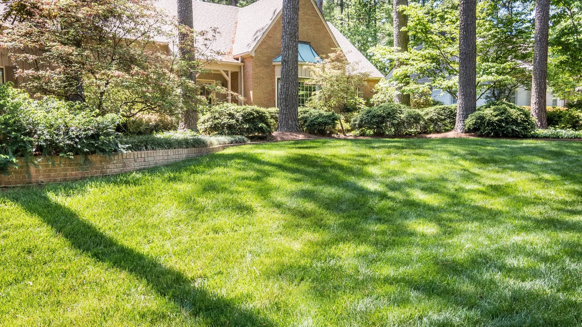 Pre-Emergent Weed Control Is an Absolute Must in the Spring!