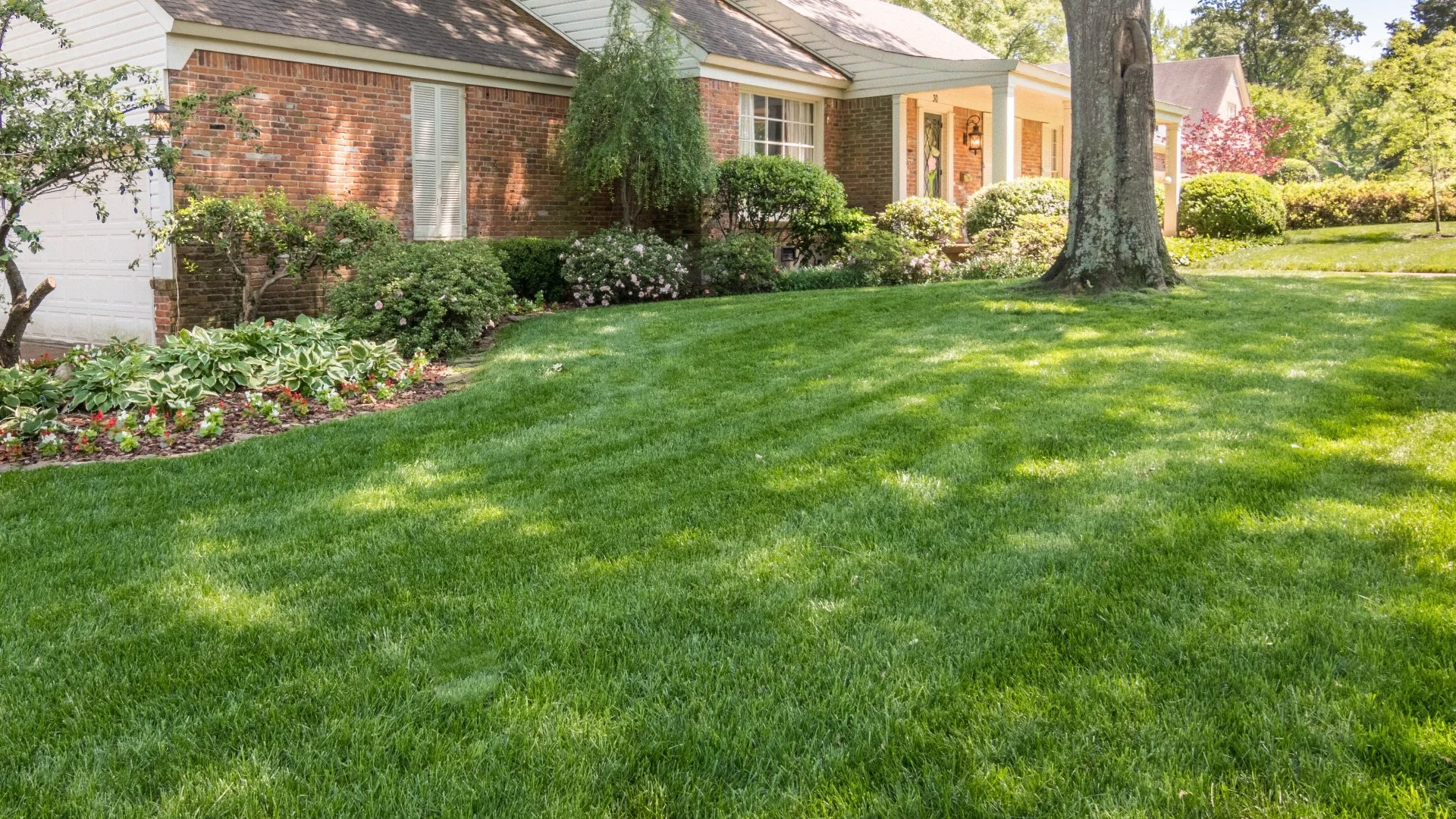 Does It Matter What Type of Fertilizer You Use for Your Lawn?