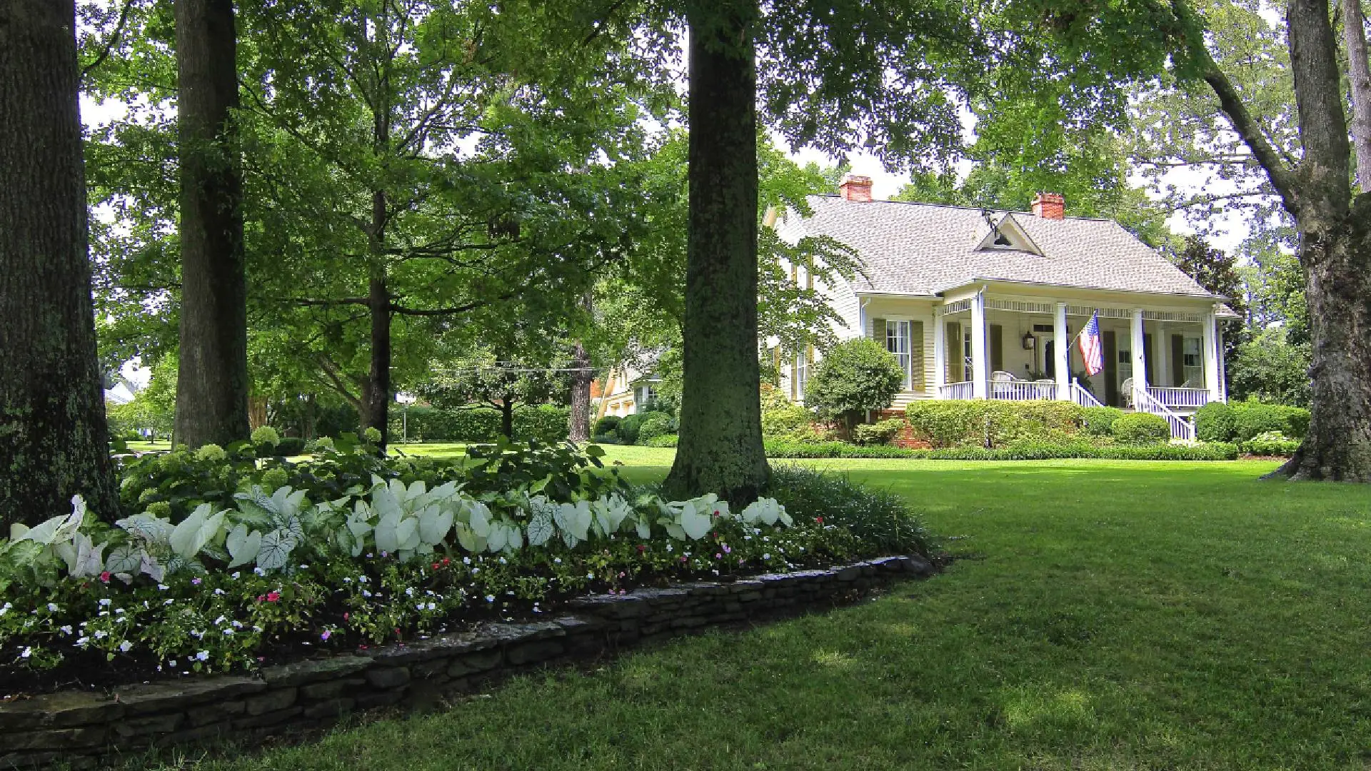 How to Properly Care for Trees in Bartlett, TN