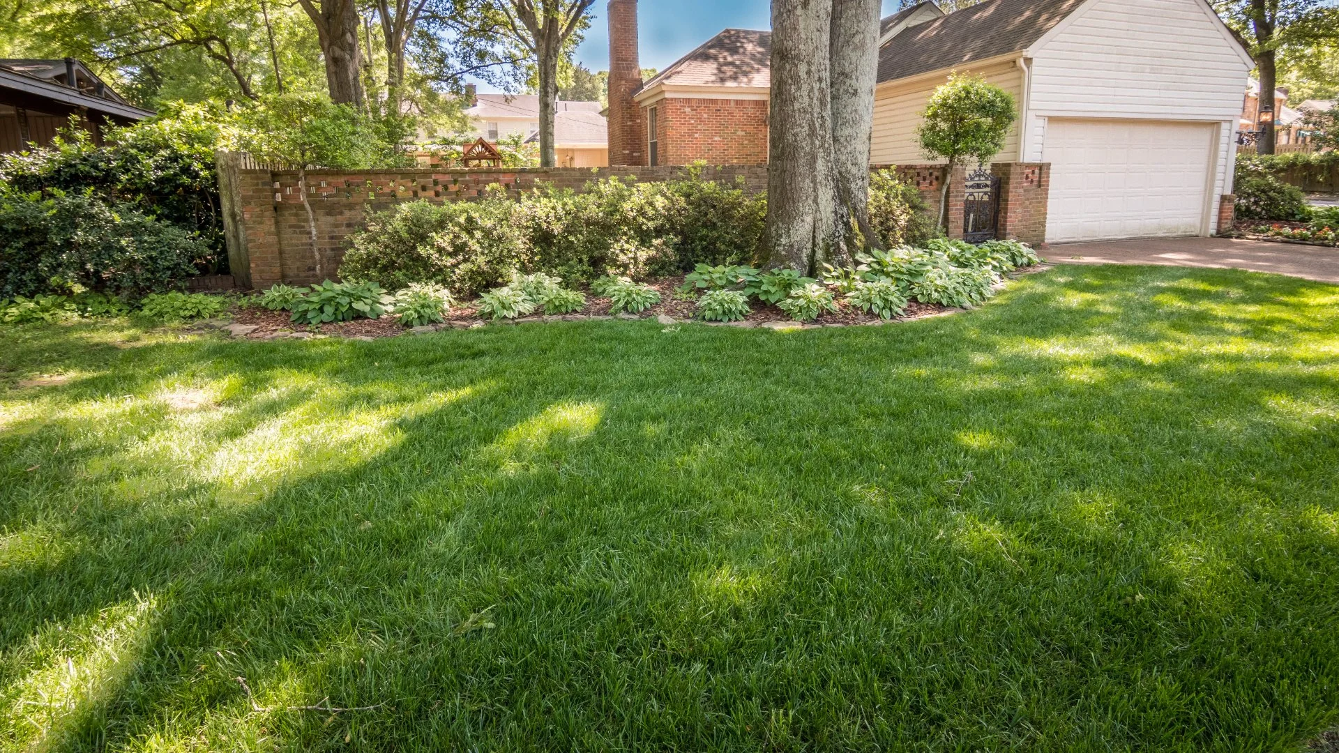 The End of Summer Is the Perfect Time to Have Your Lawn Fertilized