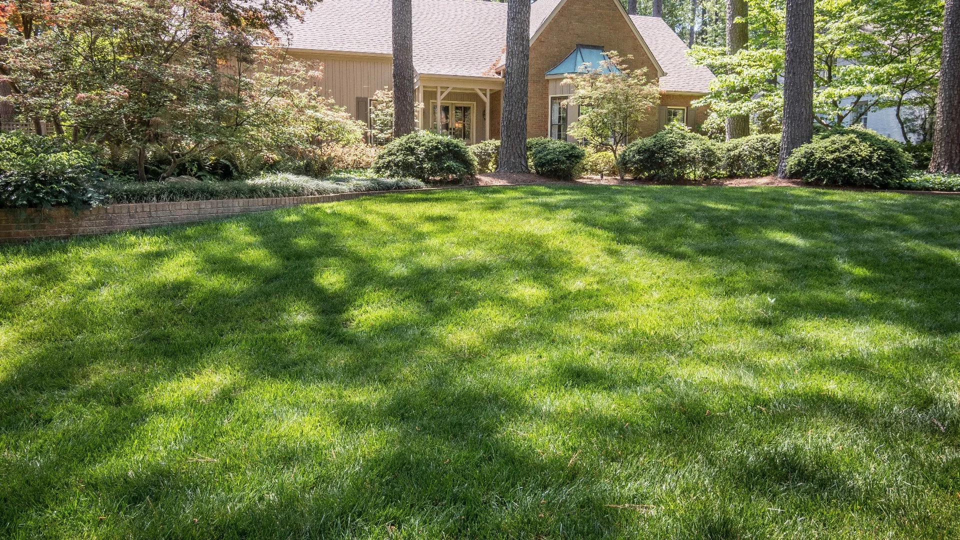 How Long You Should Stay Off Your Lawn After Overseeding