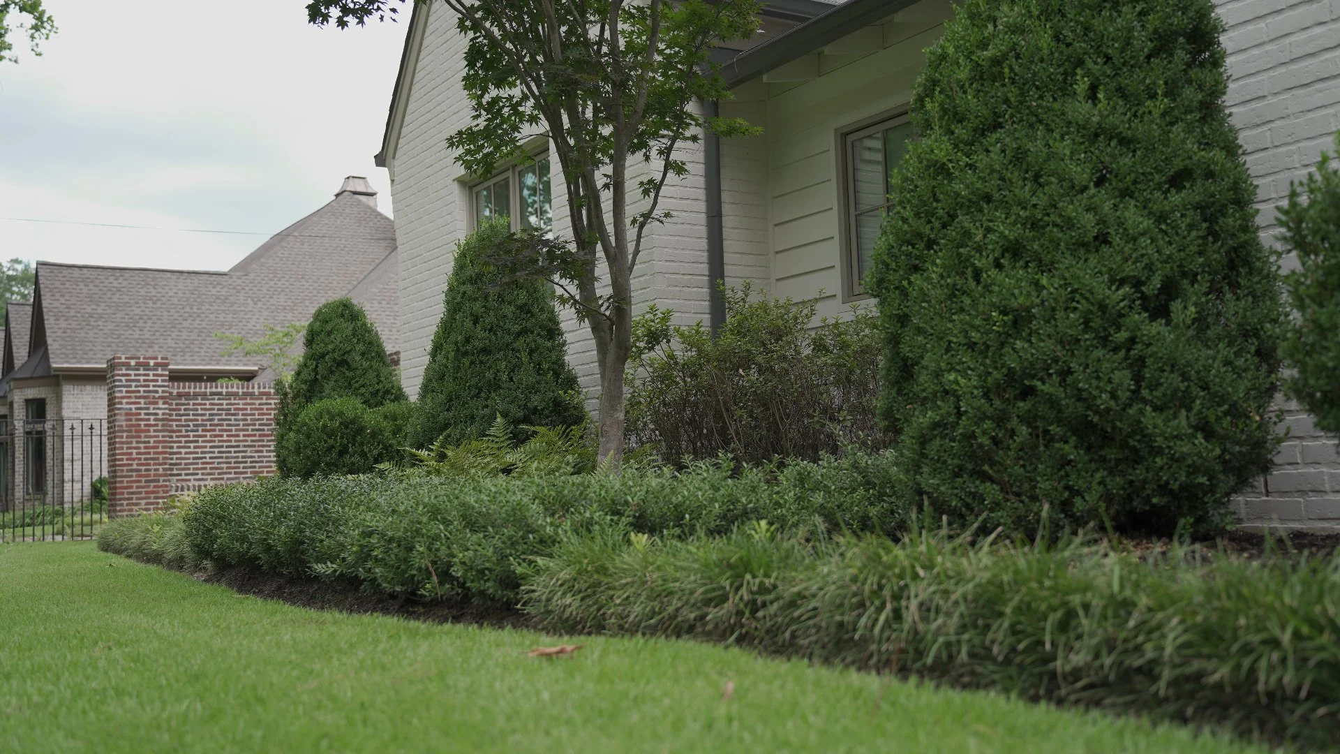 Make Sure You Have Your Trees & Shrubs Fertilized in the Fall